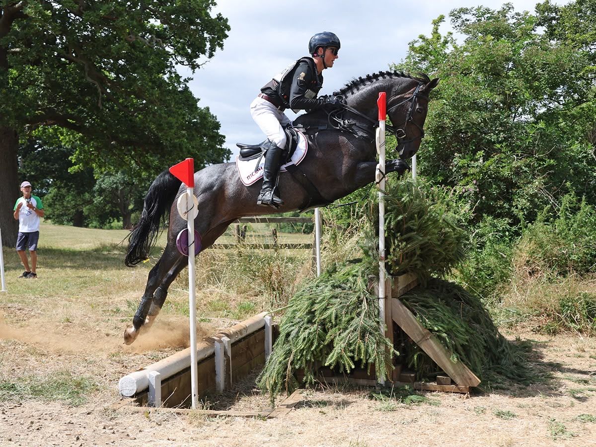 eventingpaard merrie 10 jaar andere-kleur te koop - Foto 4