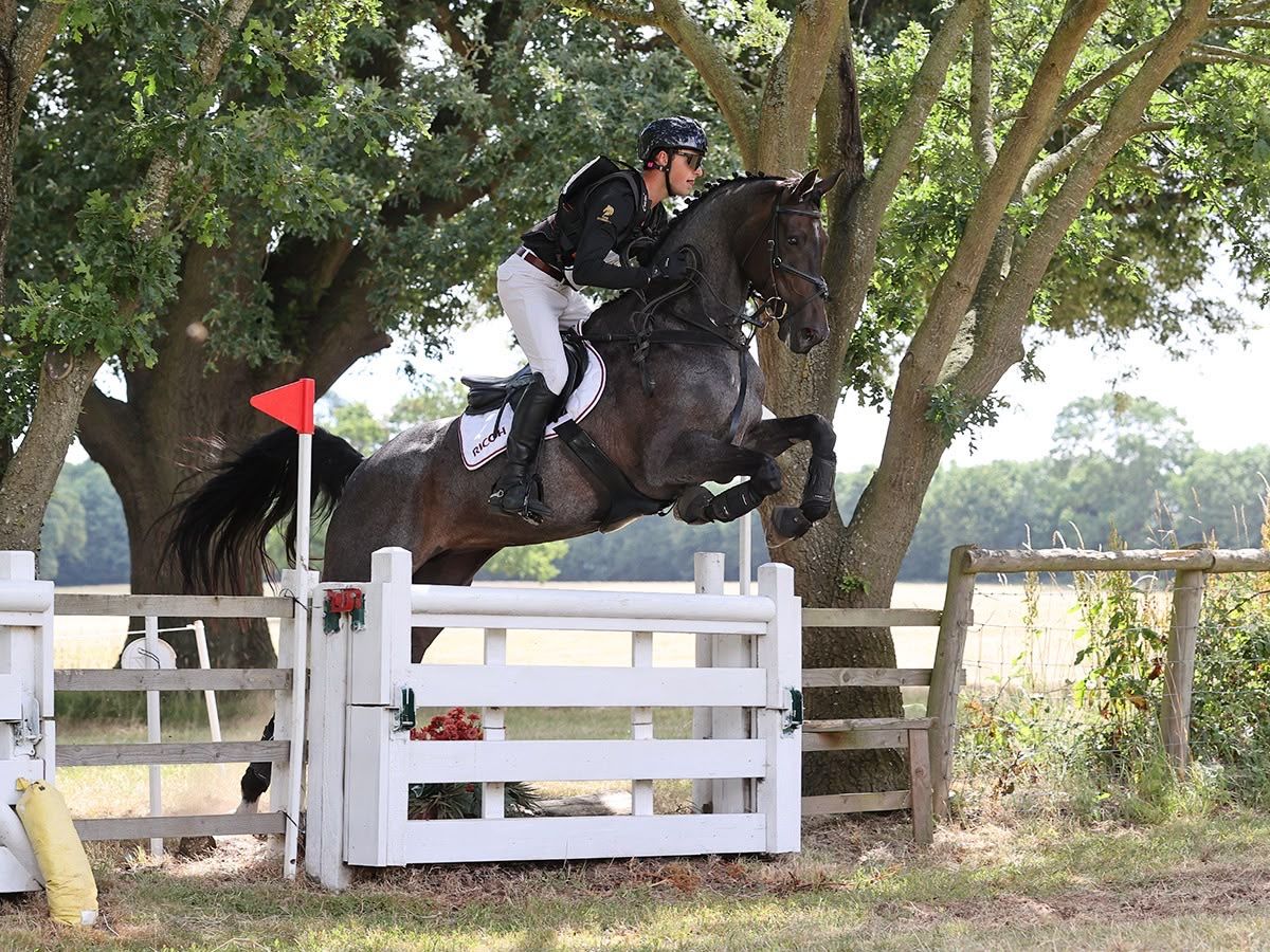 eventingpaard merrie 10 jaar andere-kleur te koop - Foto 3