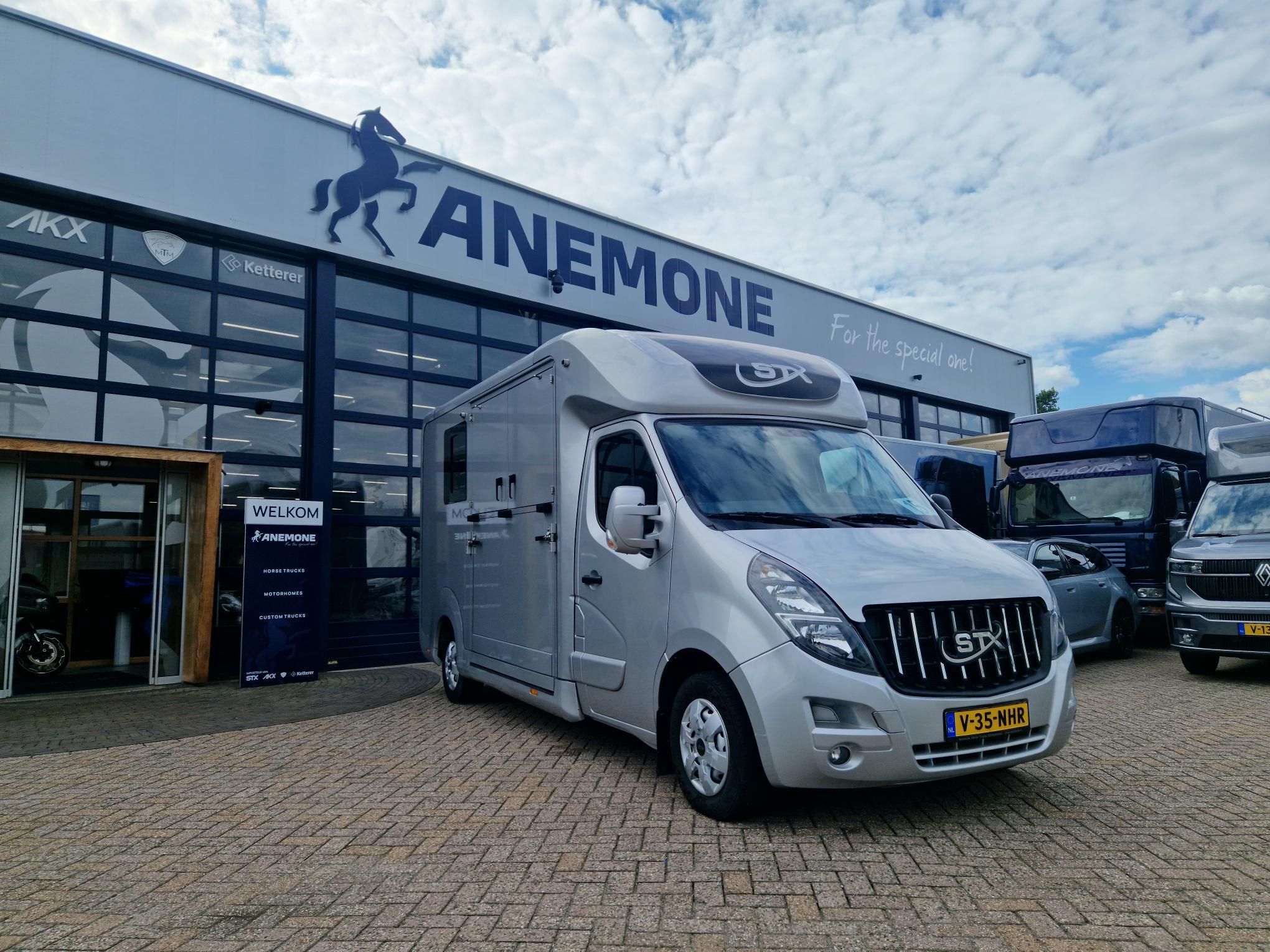 Jeune Renault Master version étalon Anemone(id:15)