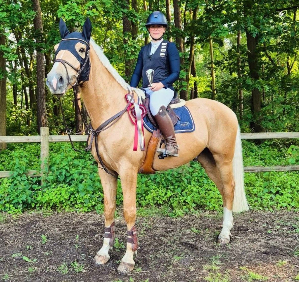 bwp springpaard ruin 8 years old palomino for sale - Photo 6