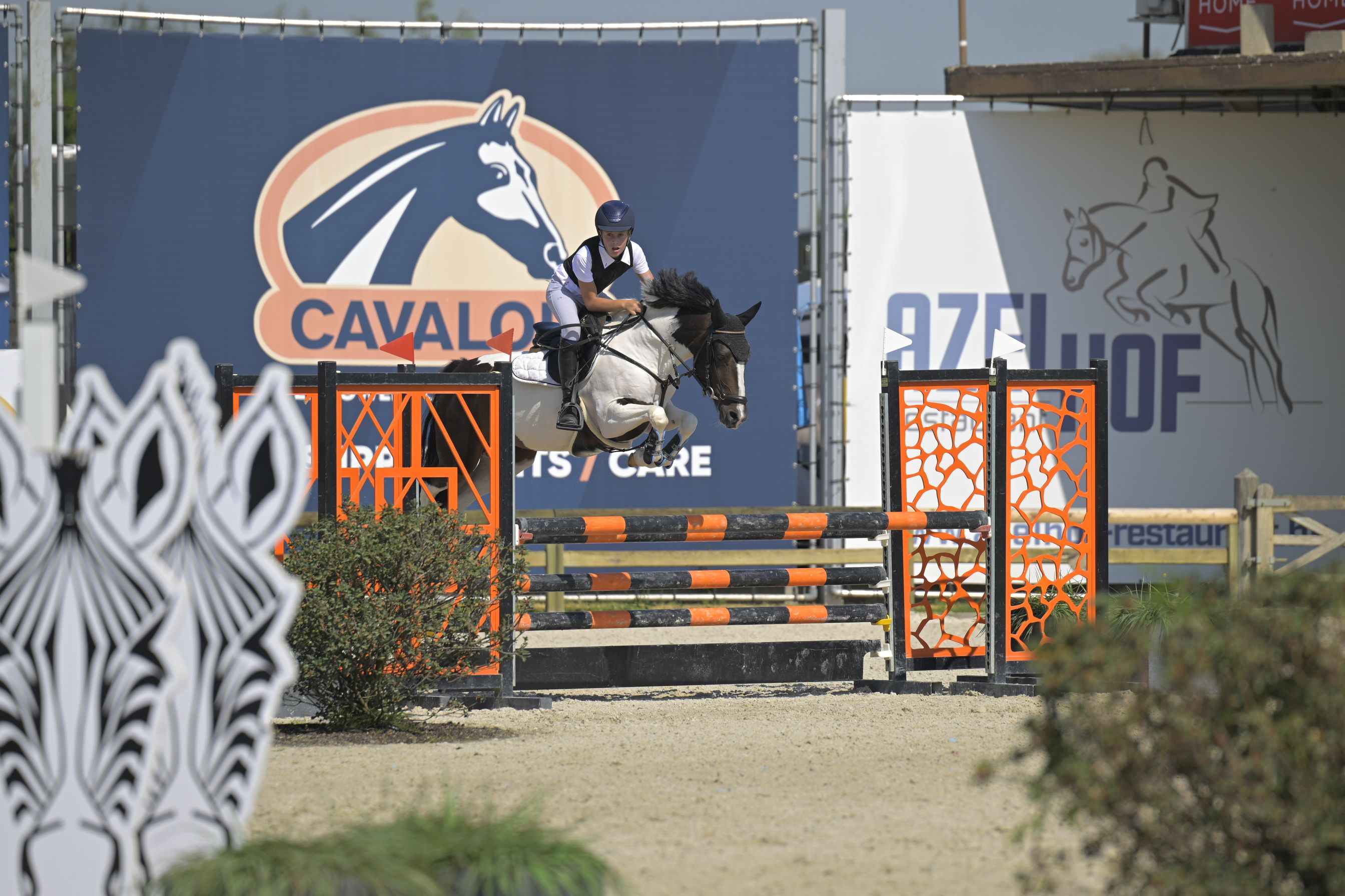 7j C-pony te koop