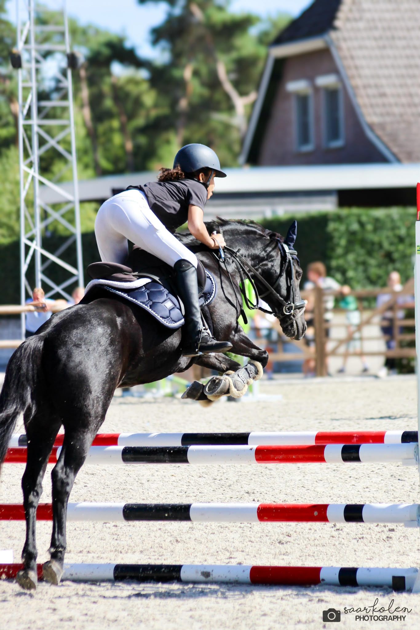 ⭐️Springpony zoekt een nieuw liefdevol huisje❤️