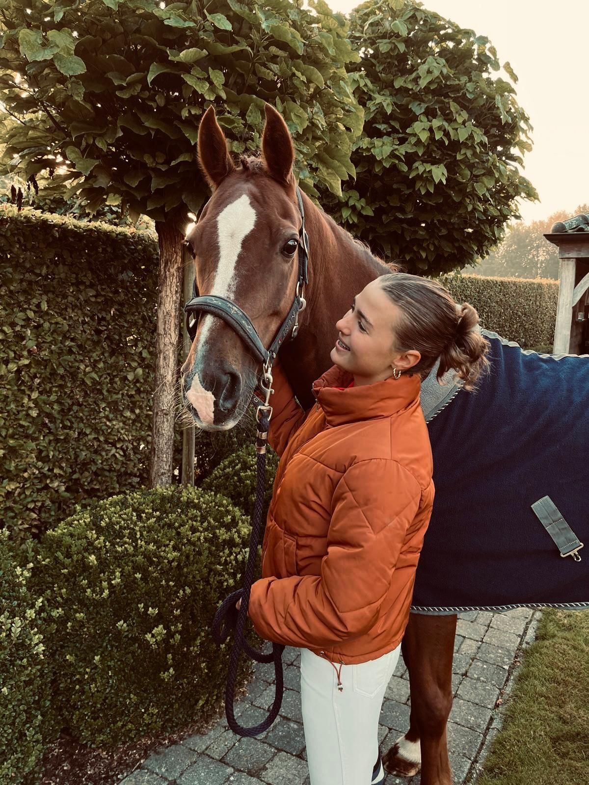 allround-pony ruin 16 years old vos for sale - Photo 3