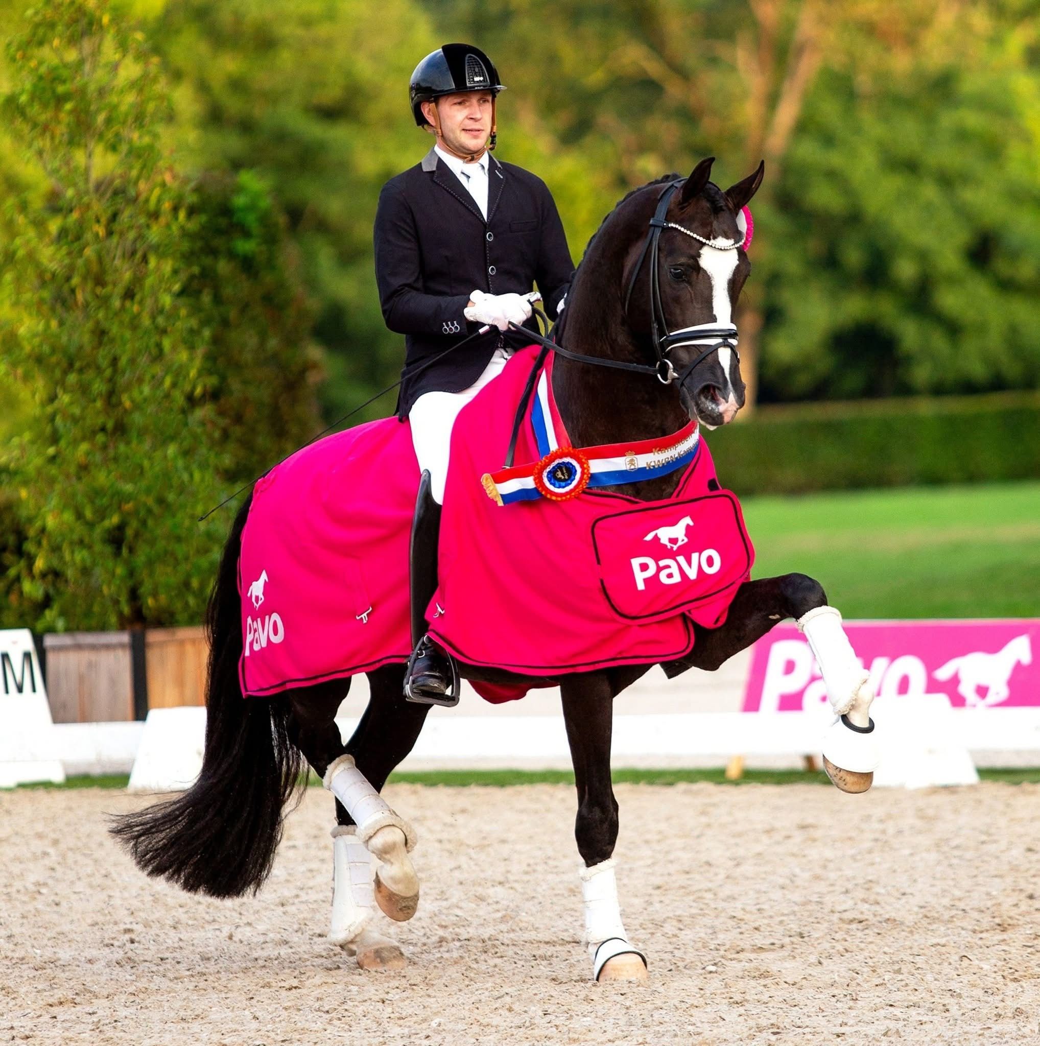 kwpn dressuurpaard merrie 0 years old zwart for sale - Photo 3