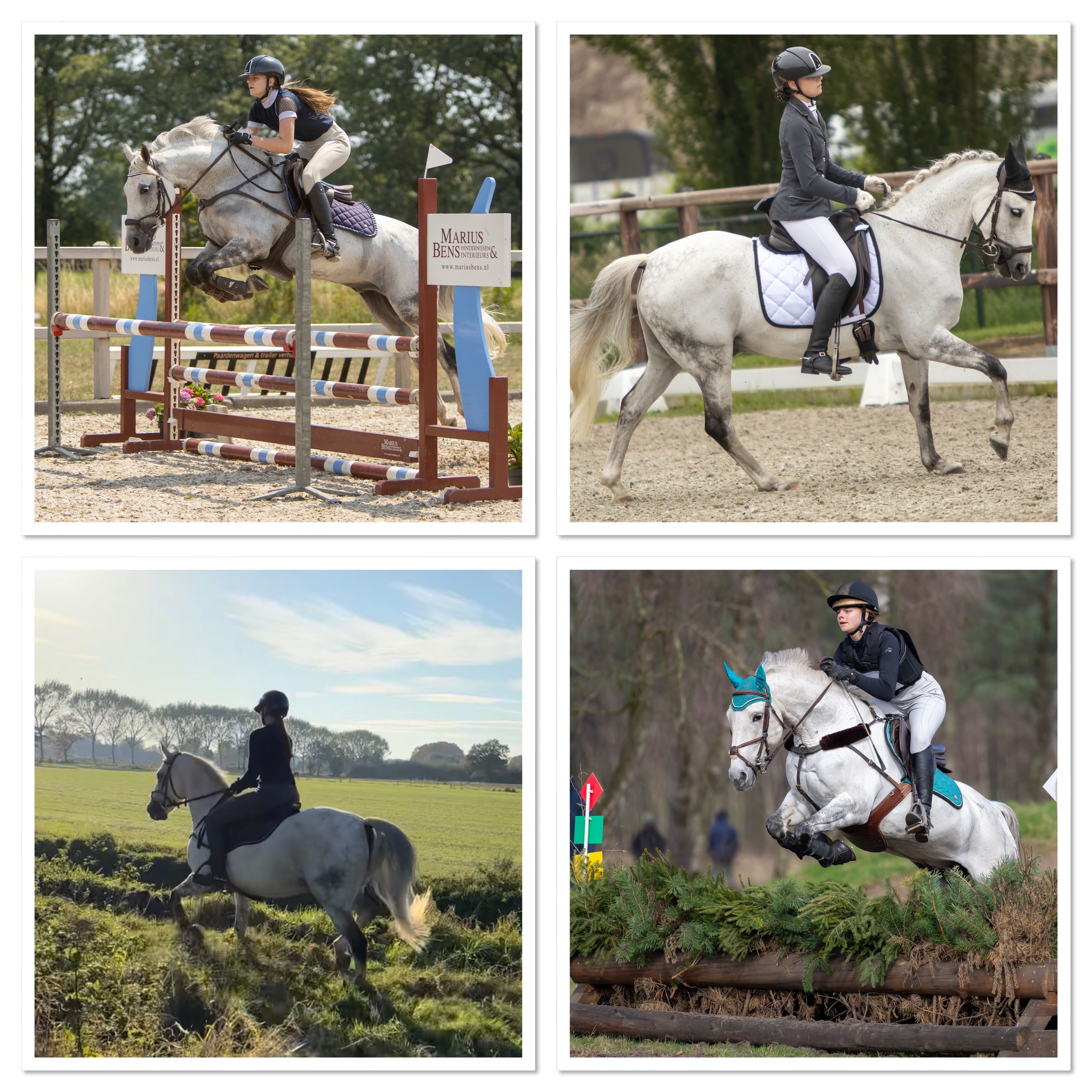 Super tolles Lehrmeister-Allround-Sportpony Dressur Klasse M + Springen inkl. Zubehör