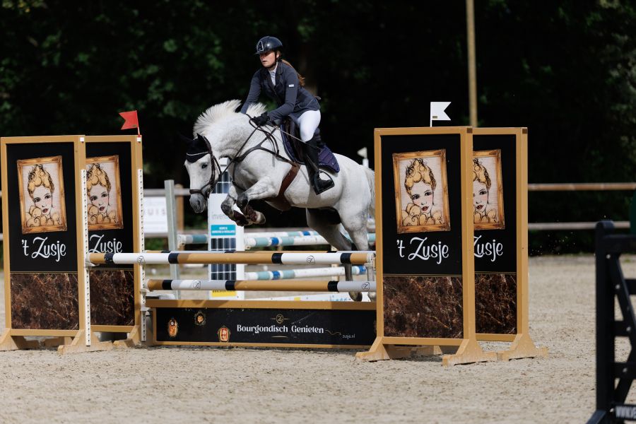 bwp allround-pony ruin 18 Jahre alt schimmel zu verkaufen - Foto 2