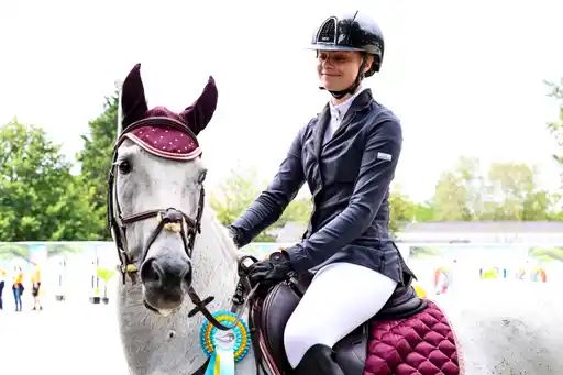 bwp allround-pony ruin 18 Jahre alt schimmel zu verkaufen - Foto 3