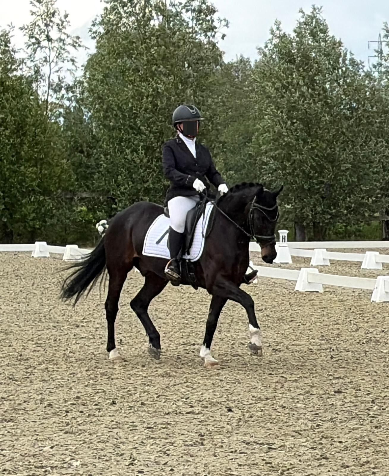 sbs allround-pony ruin 18 歳 zwart 売り出し中 - 写真 3
