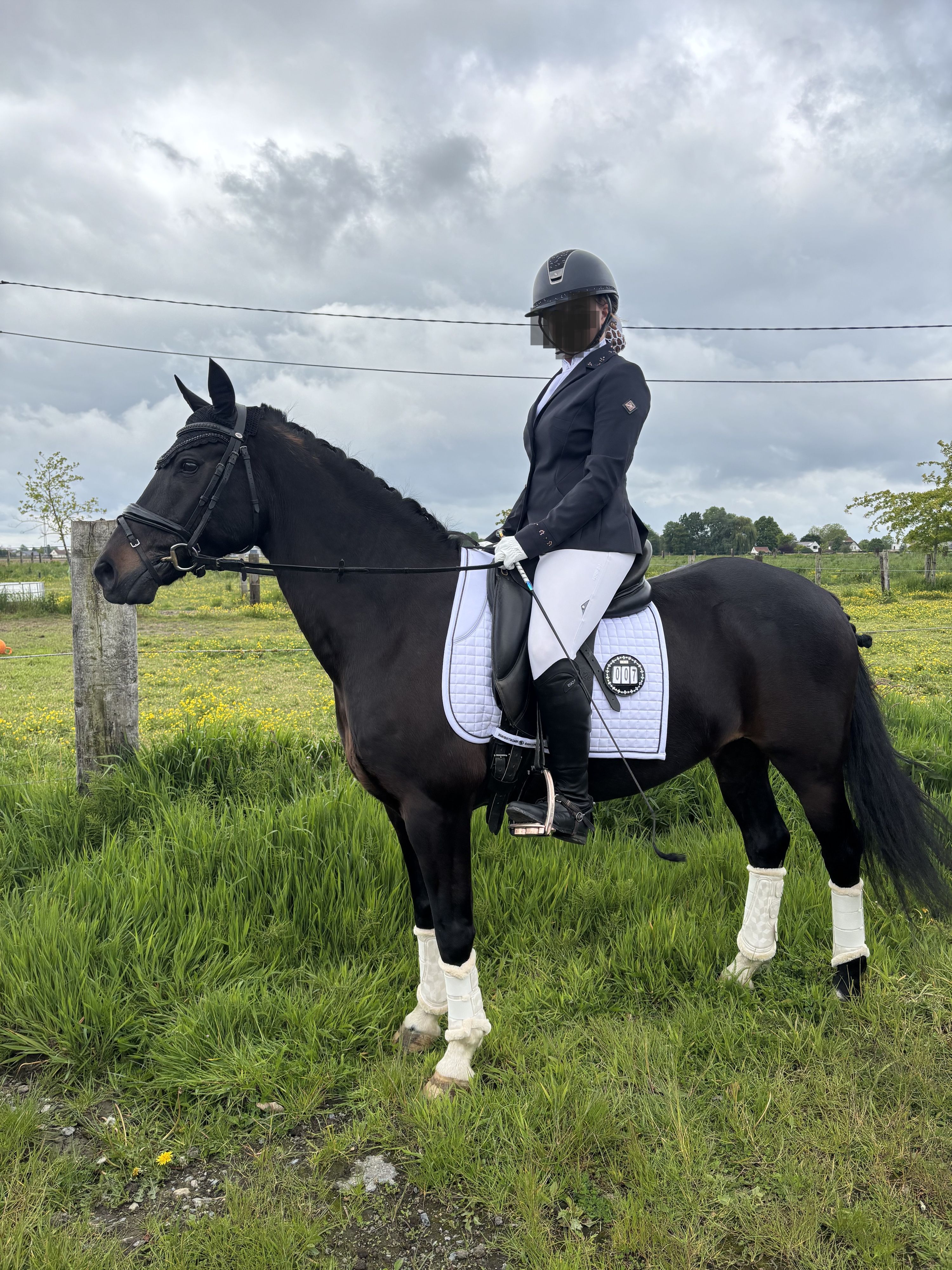 ✨ KLASSE, KARAKTER & SPORTTALENT – EEN ECHTE ALLROUNDER D-PONY ✨