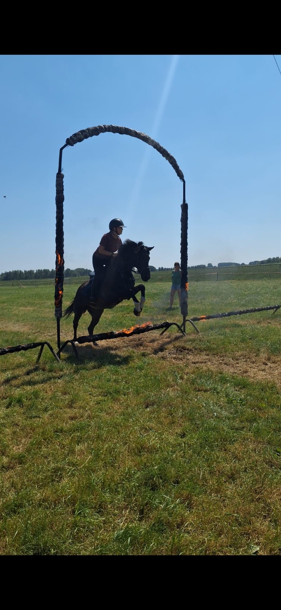 sbs allround-pony ruin 18 years old zwart for sale - Photo 5