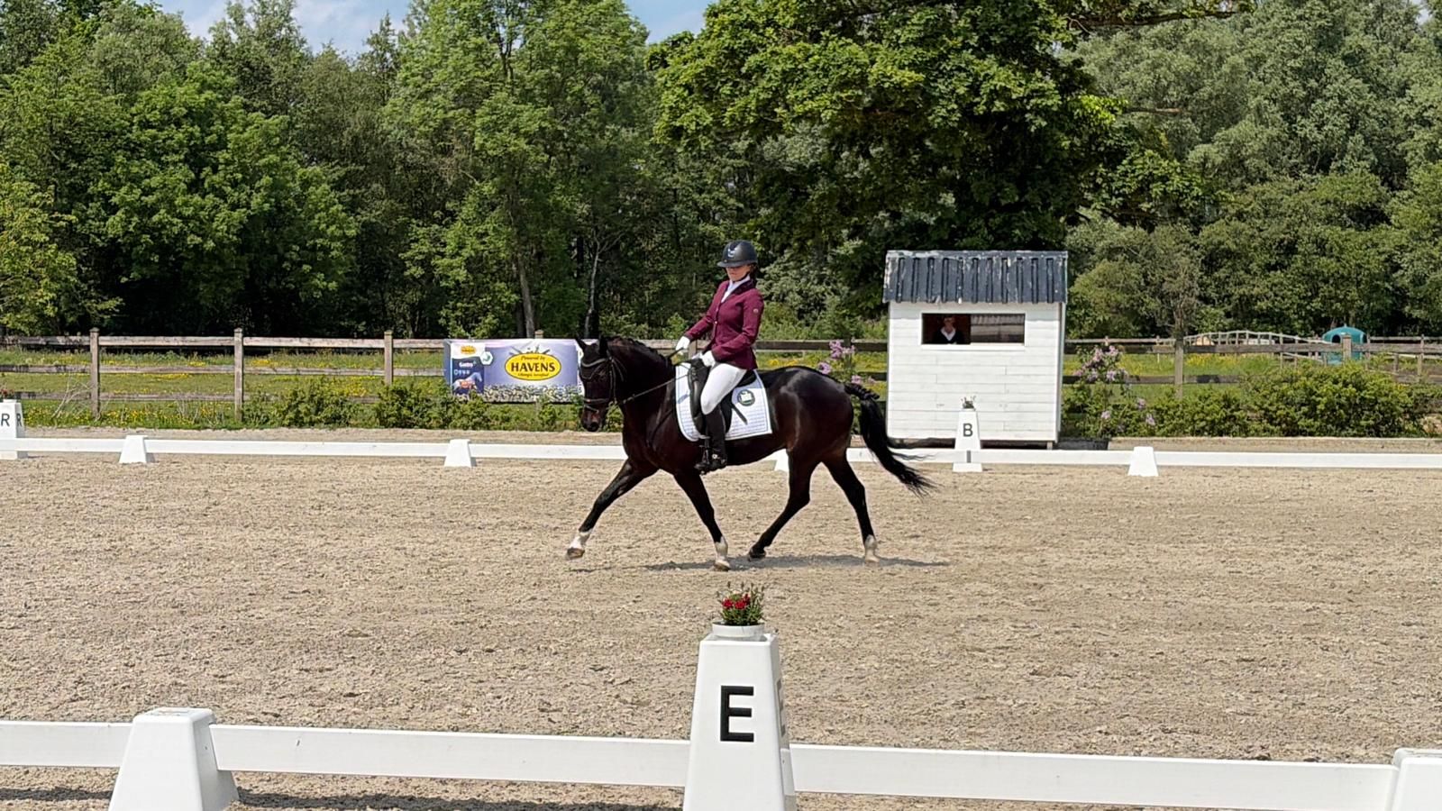 sbs allround-pony ruin 18 歳 zwart 売り出し中 - 写真 4