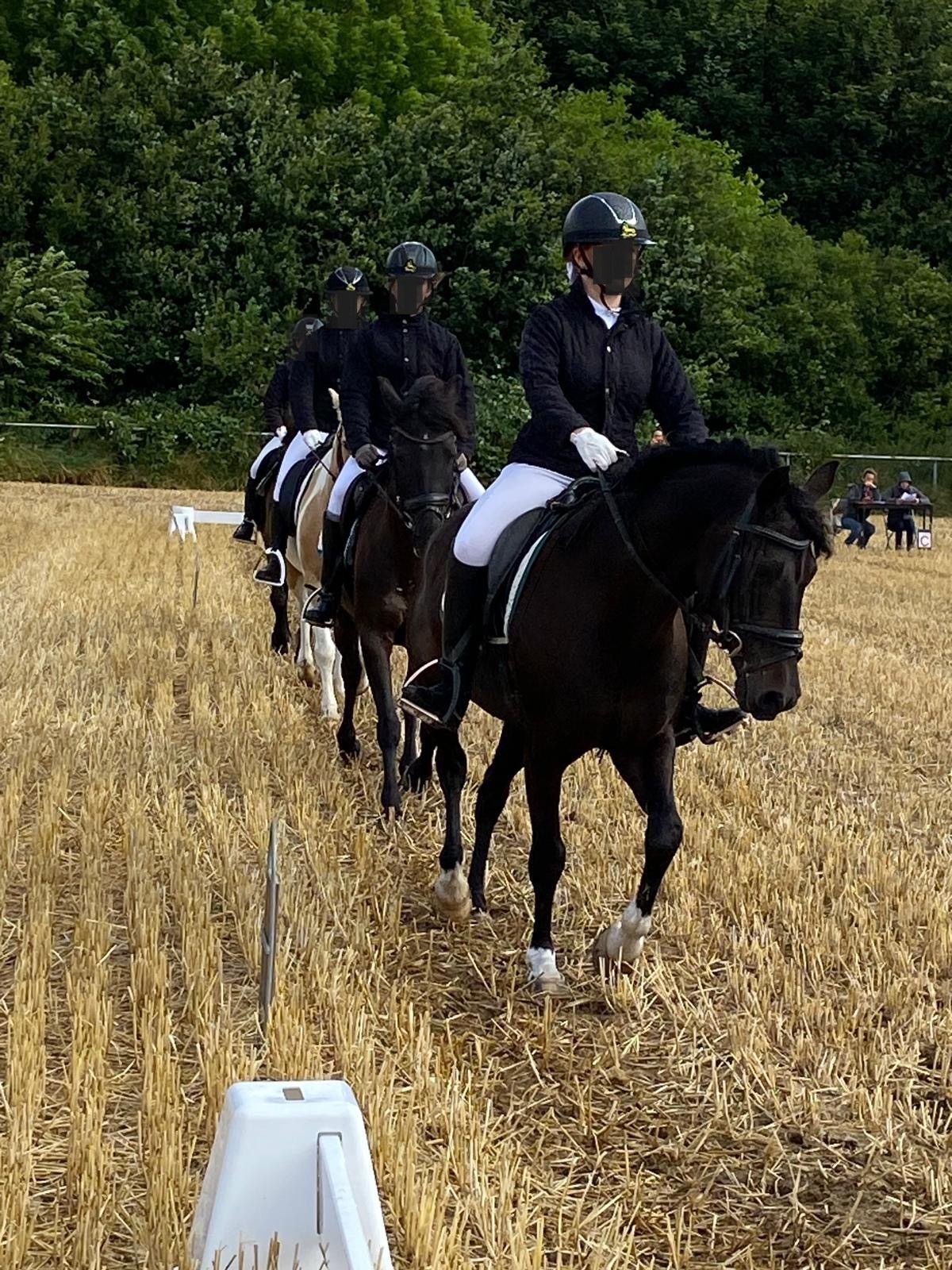 sbs allround-pony ruin 18 歳 zwart 売り出し中 - 写真 6