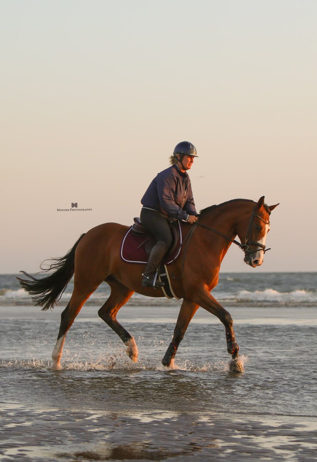 kwpn springpaard ruin 5 años bruin en venta - Foto 4