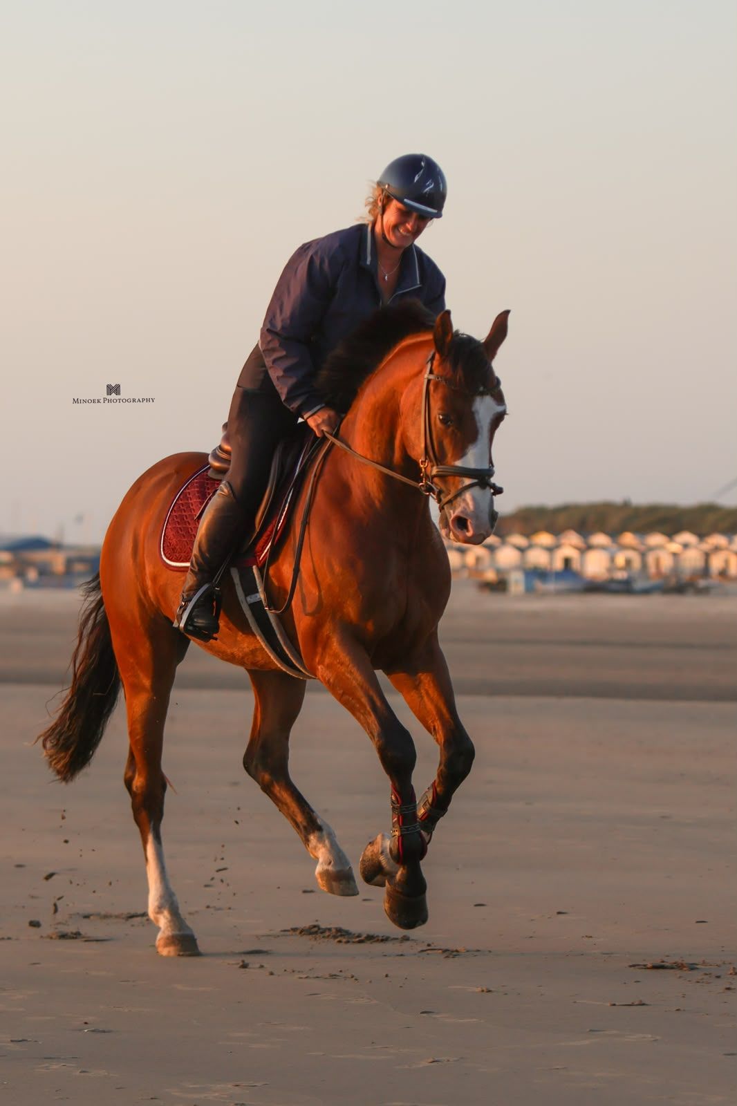kwpn springpaard ruin 5 años bruin en venta - Foto 3