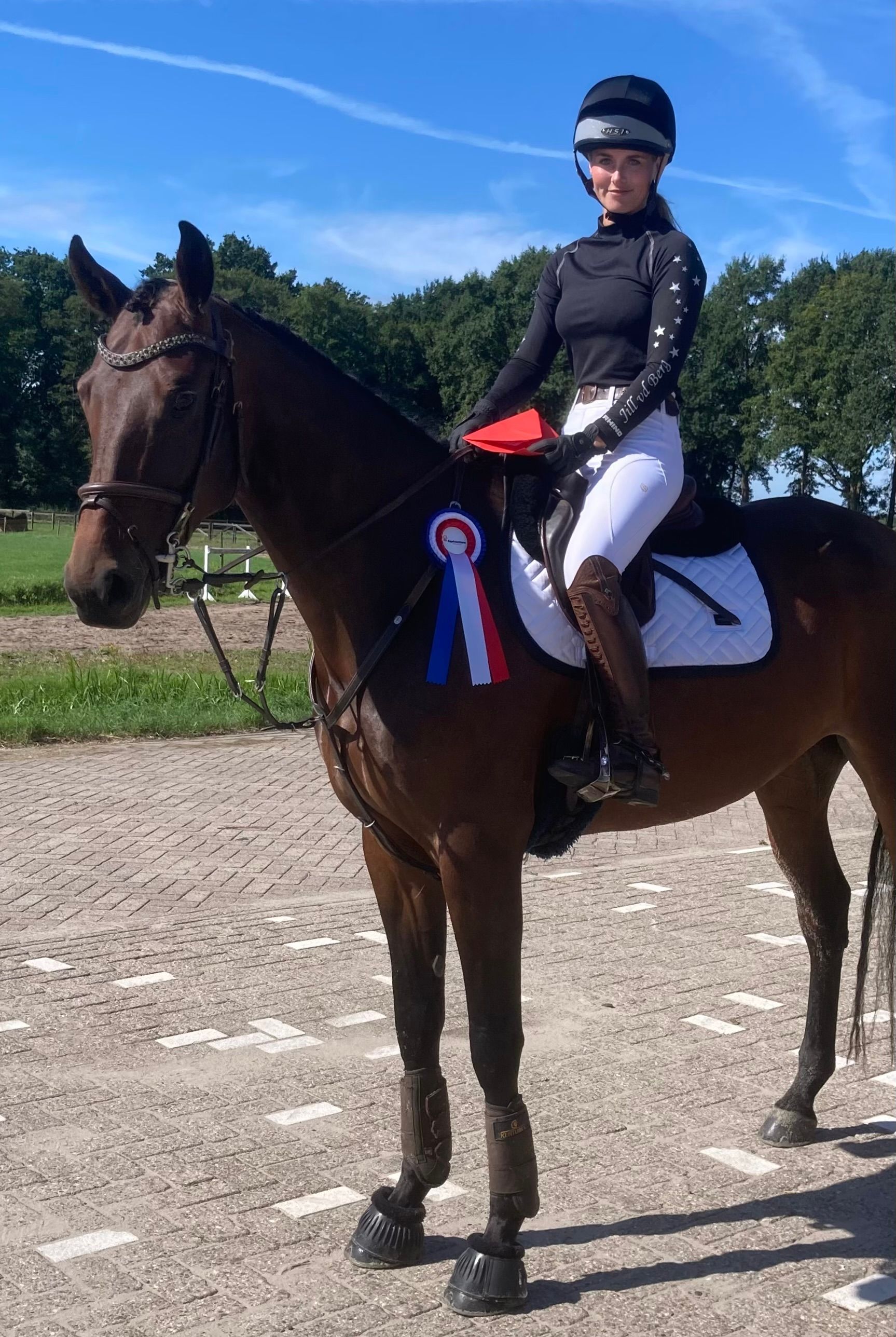 zangersheide eventingpaard merrie 4 Jahre alt bruin zu verkaufen - Foto 3