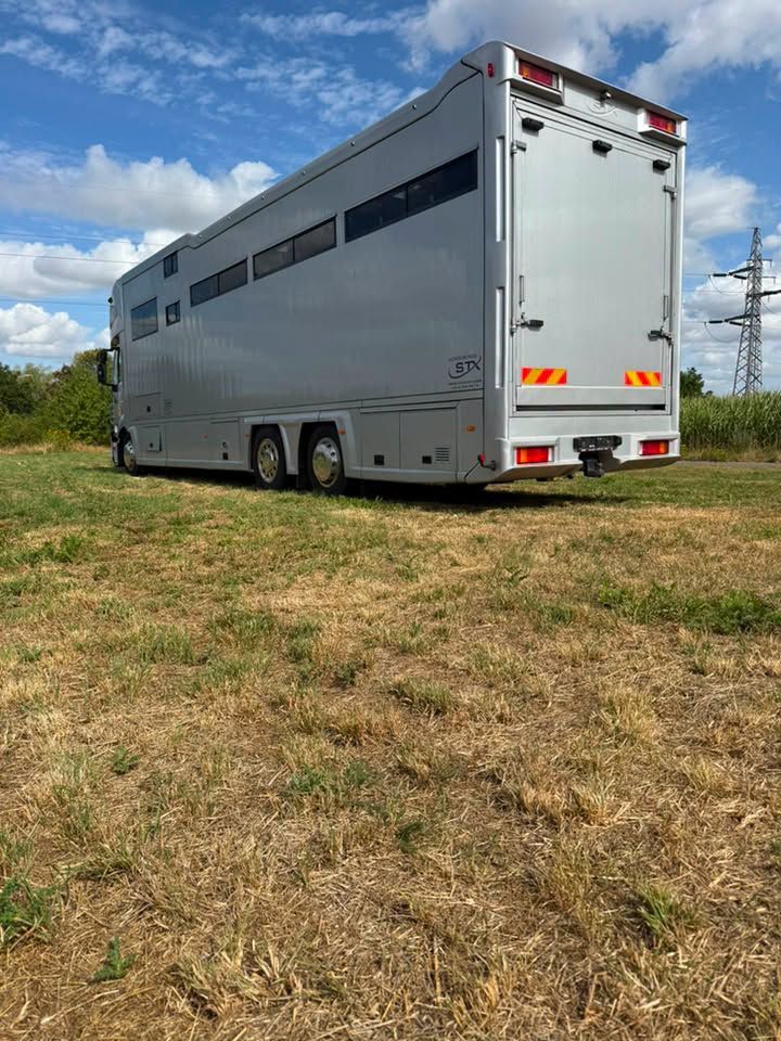 Grijs te koop - Foto 2