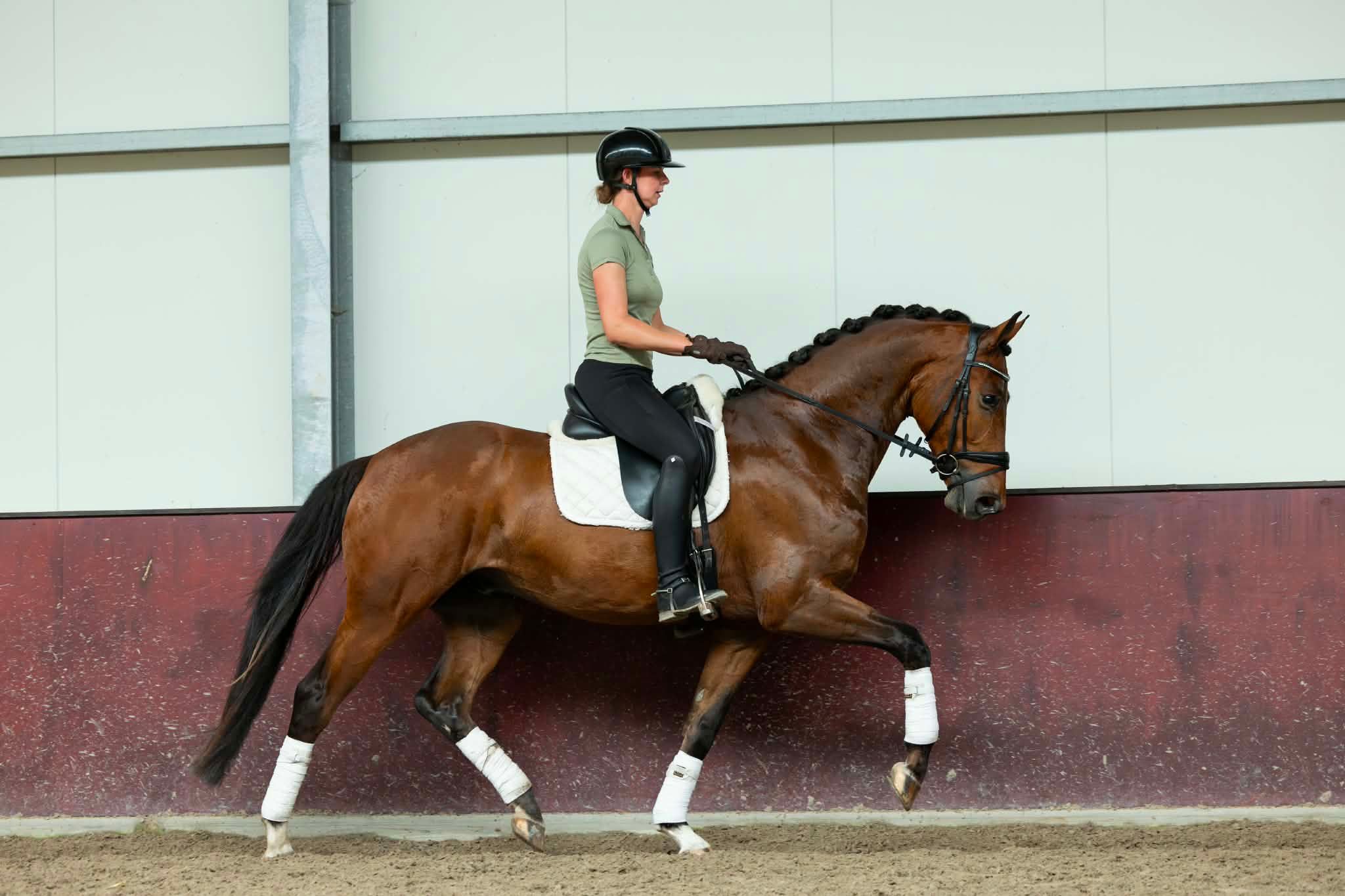 KWPN dressuurpaard ruin 3 years old bruin for sale - Photo 6
