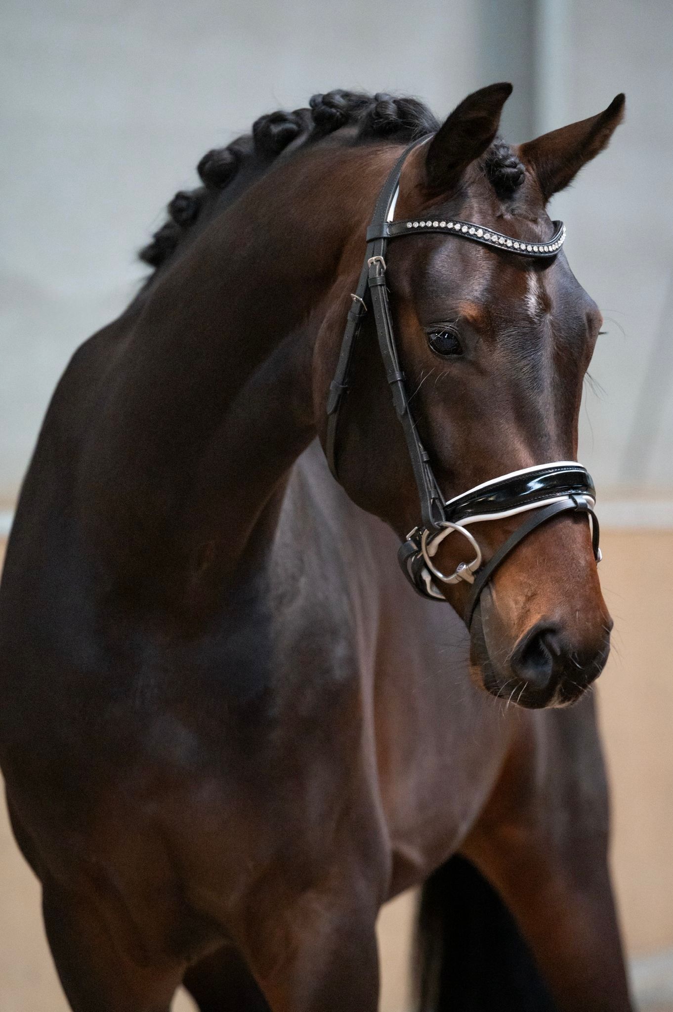 IN VENDITA | Spotlight Texel Las Vegas x Ferro