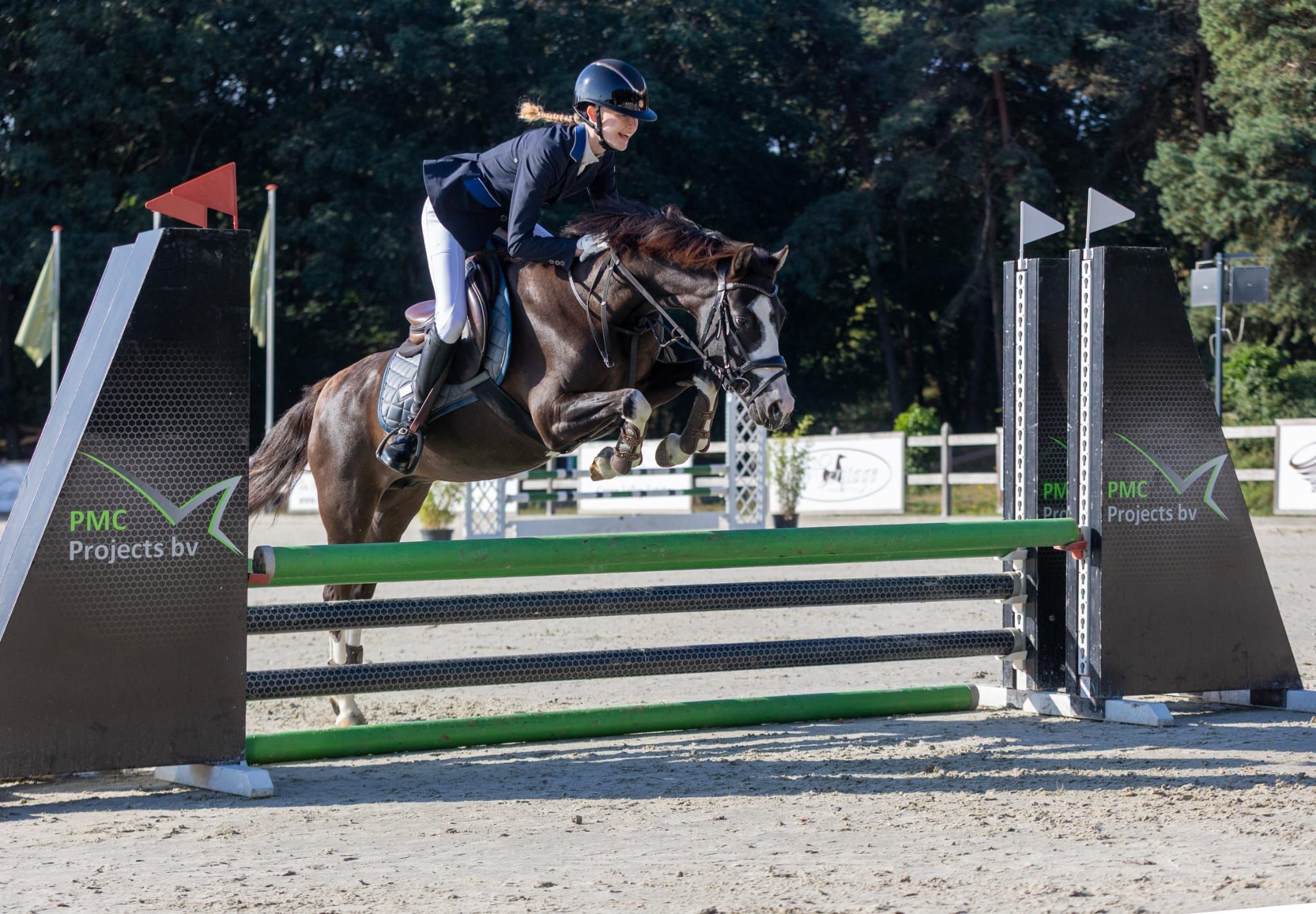 welsh springpony merrie 9 jaar zwart te koop - Foto 3