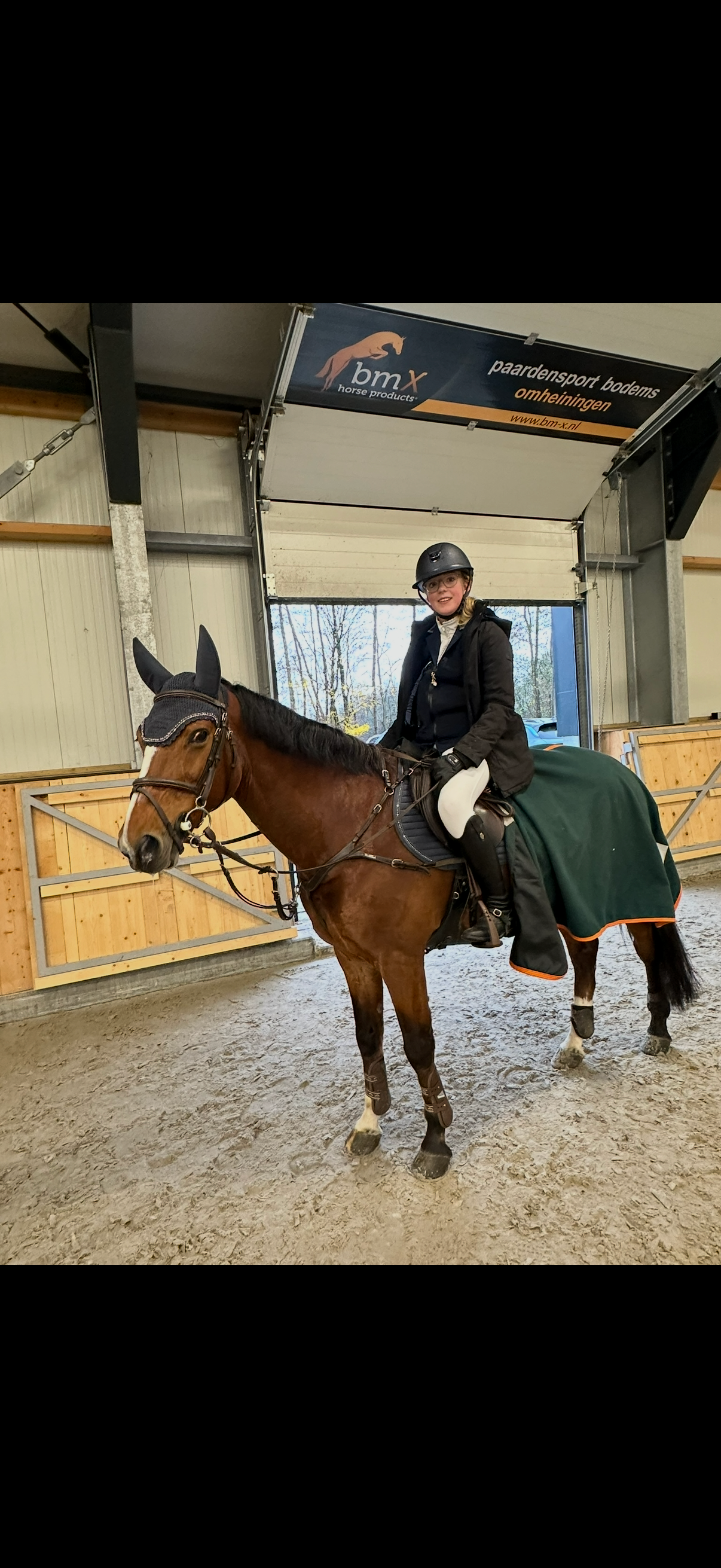 springpony ruin 16 years old donkerbruin for sale - Photo 3