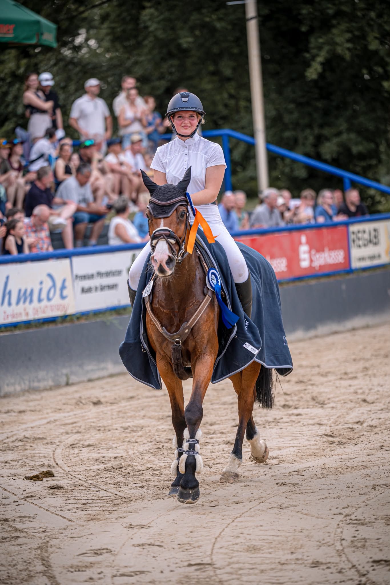 springpaard merrie 11 years old bruin for sale - Photo 3