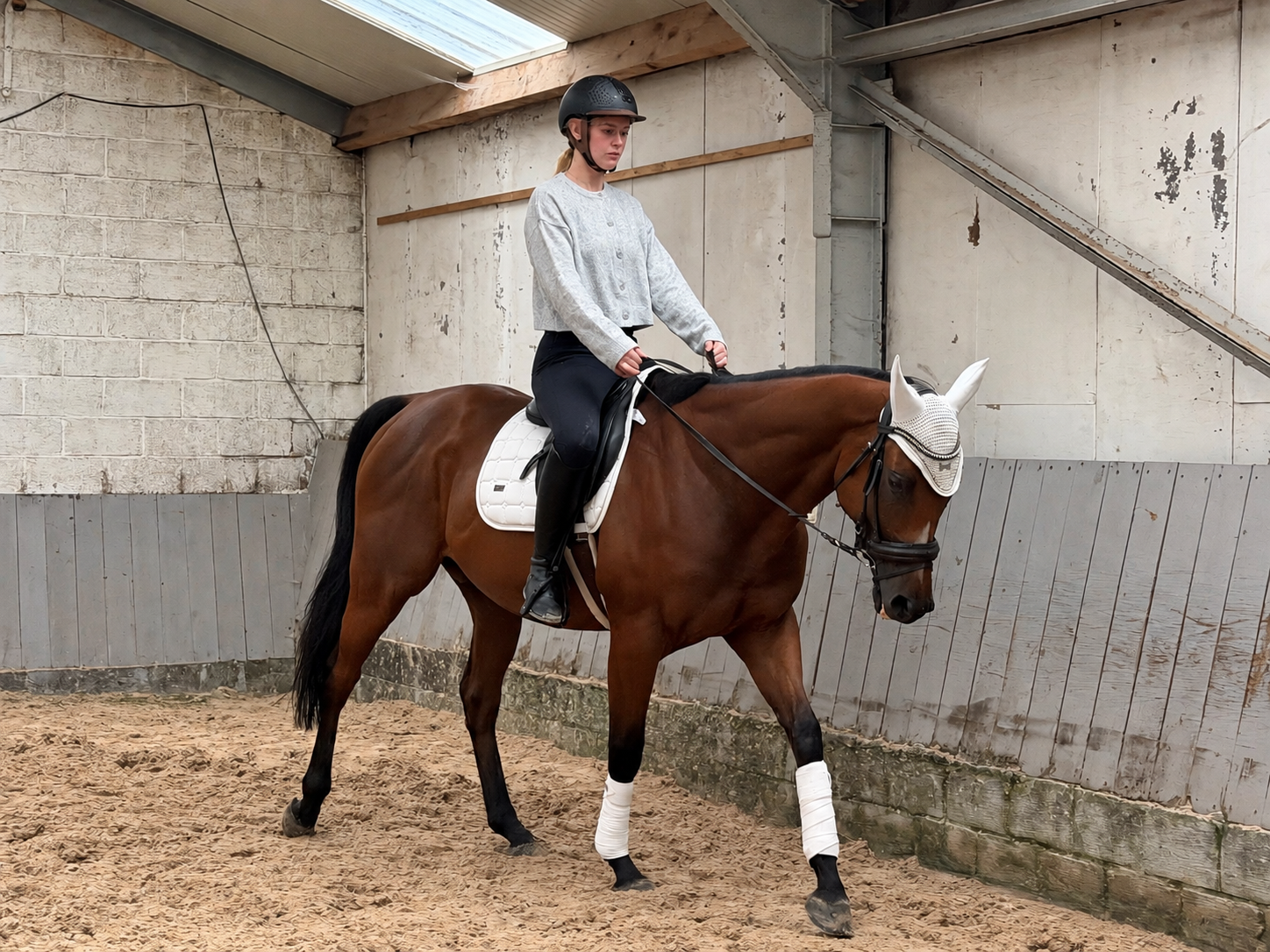 volbloed eventingpaard ruin 4 years old donkerbruin for sale - Photo 3
