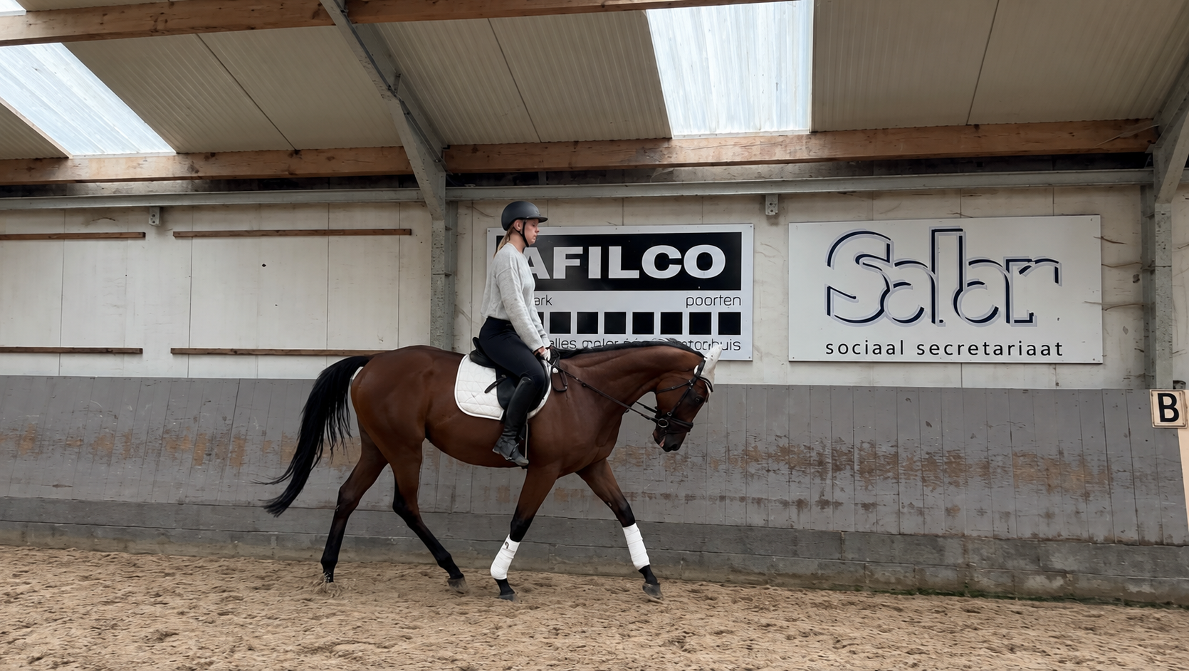 volbloed eventingpaard ruin 4 years old donkerbruin for sale - Photo 4