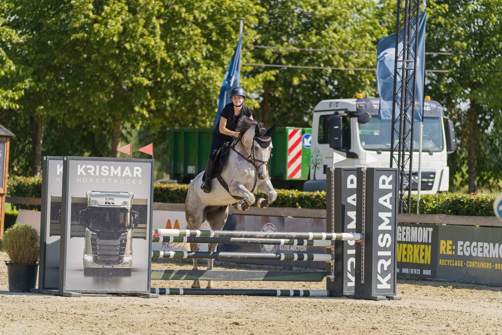 Knappe 9-jarige ruin te koop