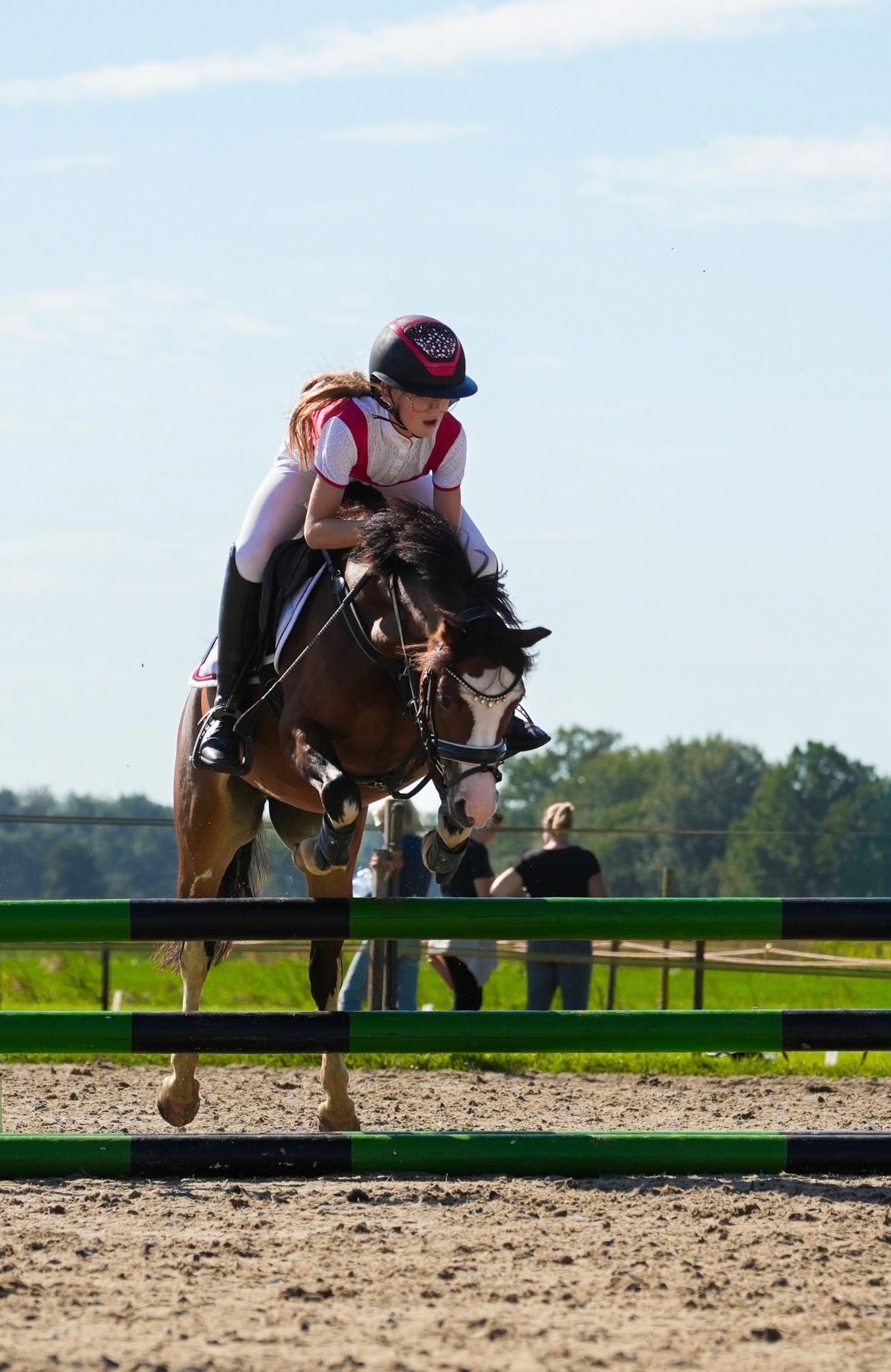 All-round 9-year-old super handsome Section A Welsh pony mare
