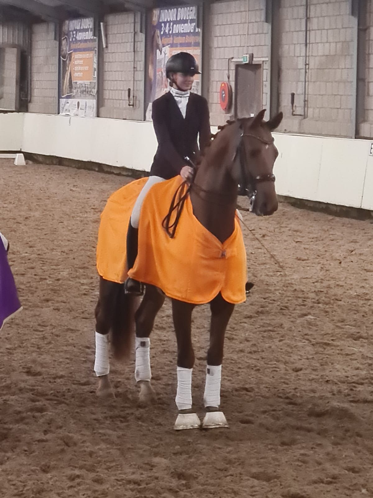 dressuurpaard ruin 11 years old vos for sale - Photo 6