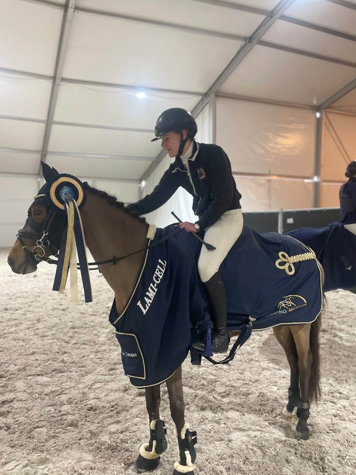 duitse-rijpony allround-pony merrie 11 år bruin till salu - Foto 3