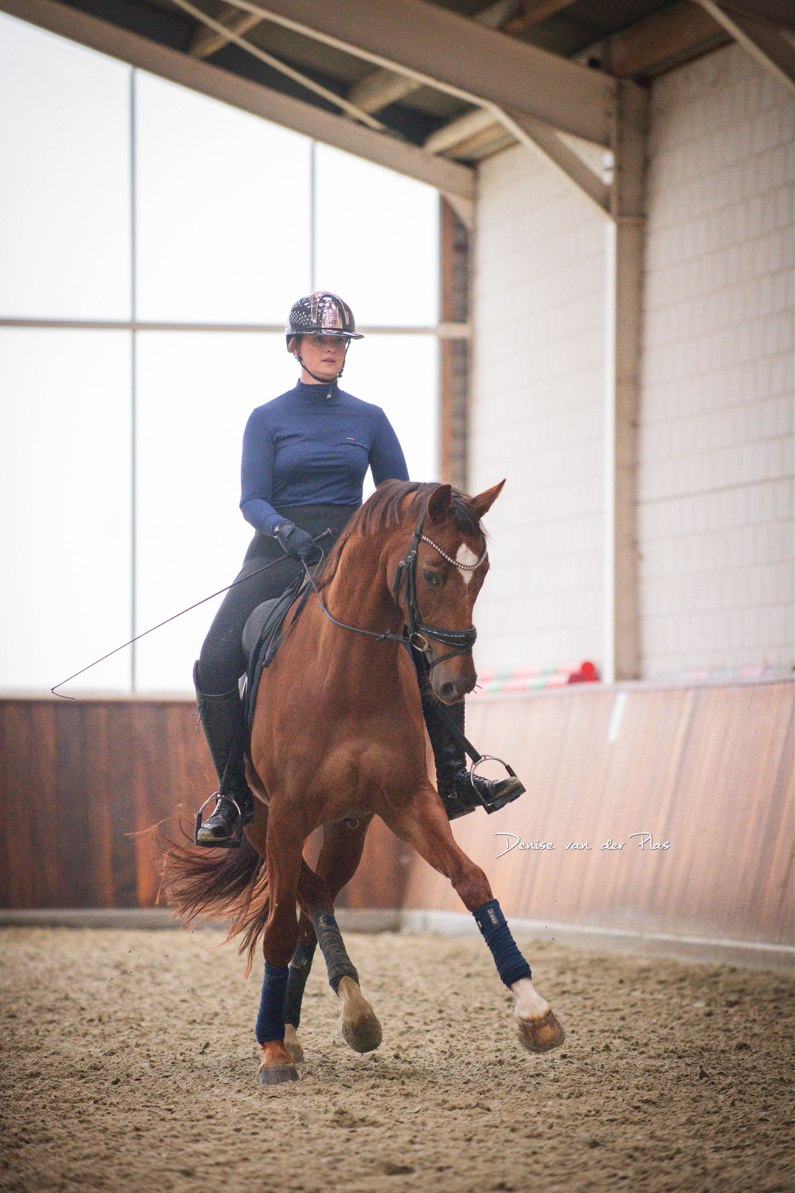 kwpn recreatie-paard merrie 10 years old andere-kleur for sale - Photo 2