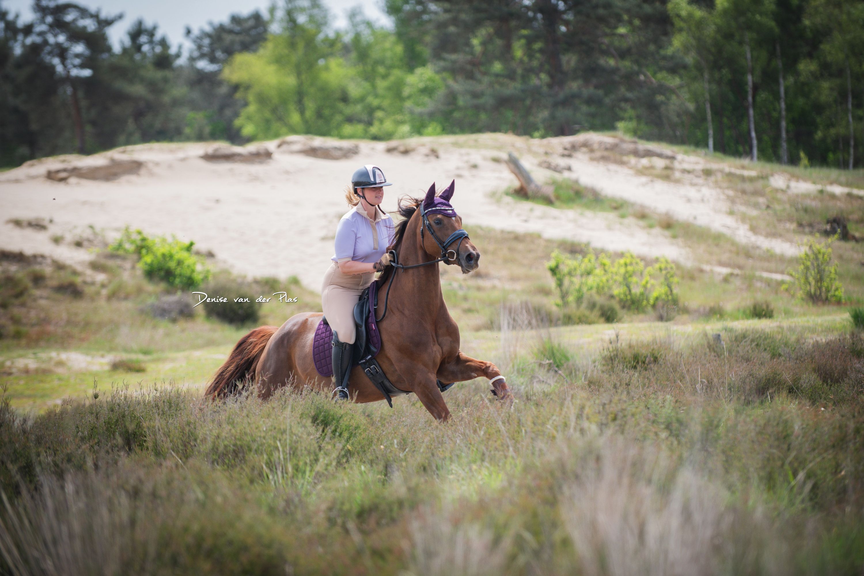 kwpn recreatie-paard merrie 10 years old andere-kleur for sale - Photo 3