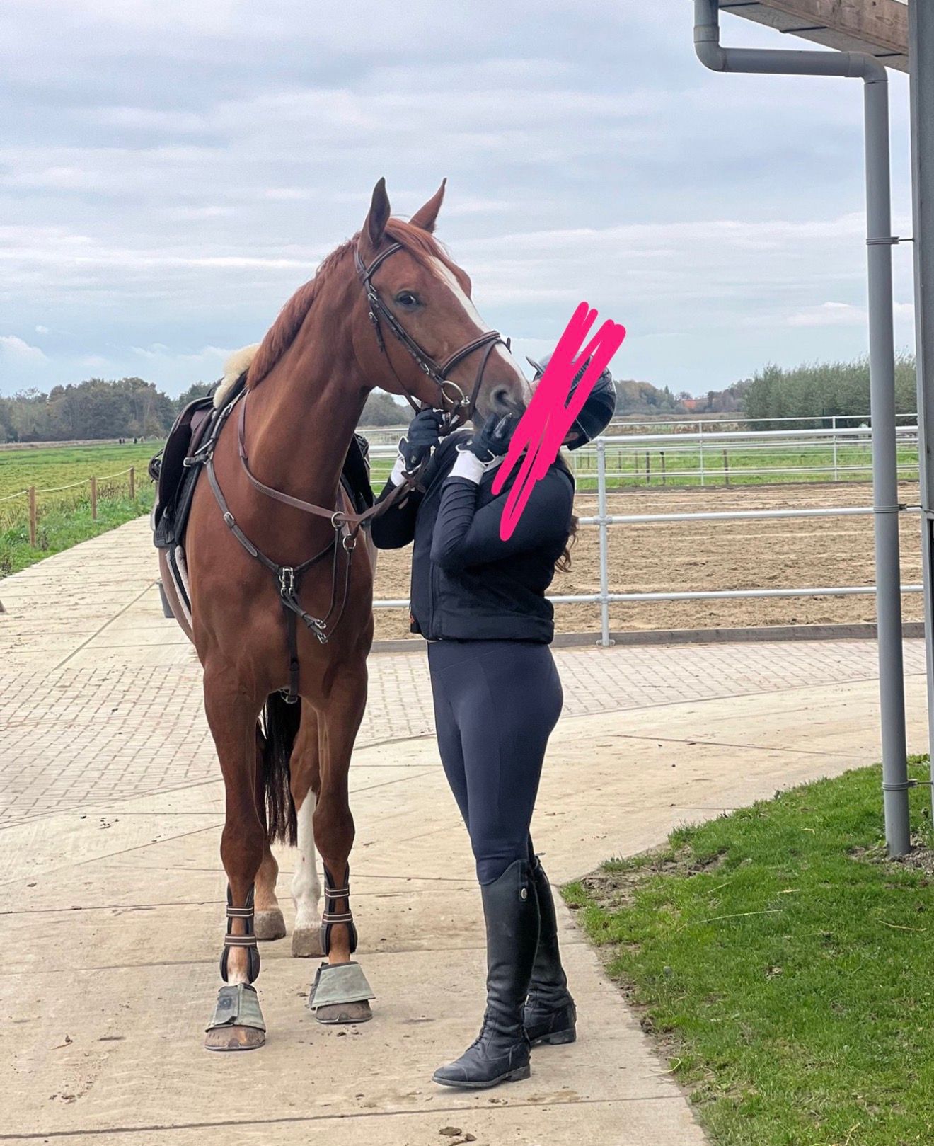 paard ruin 6 år vos till salu - Foto 3