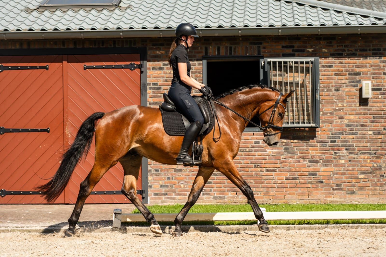 kwpn dressuurpaard ruin 4 años bruin en venta - Foto 3