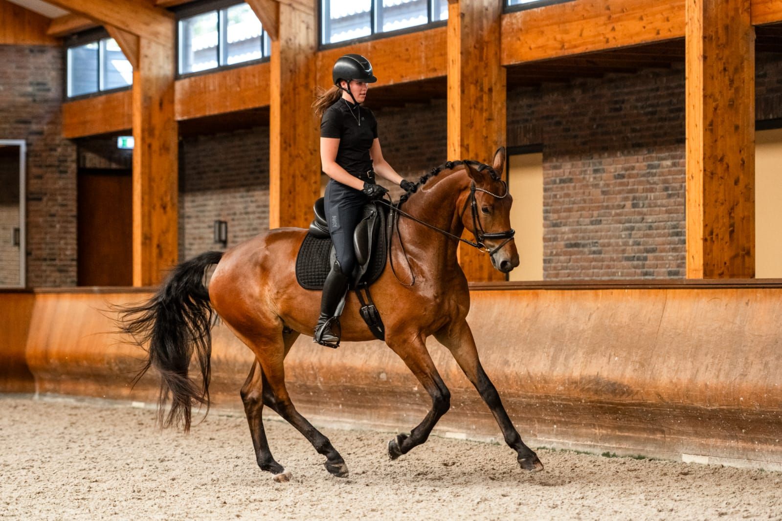 kwpn dressuurpaard ruin 4 años bruin en venta - Foto 4