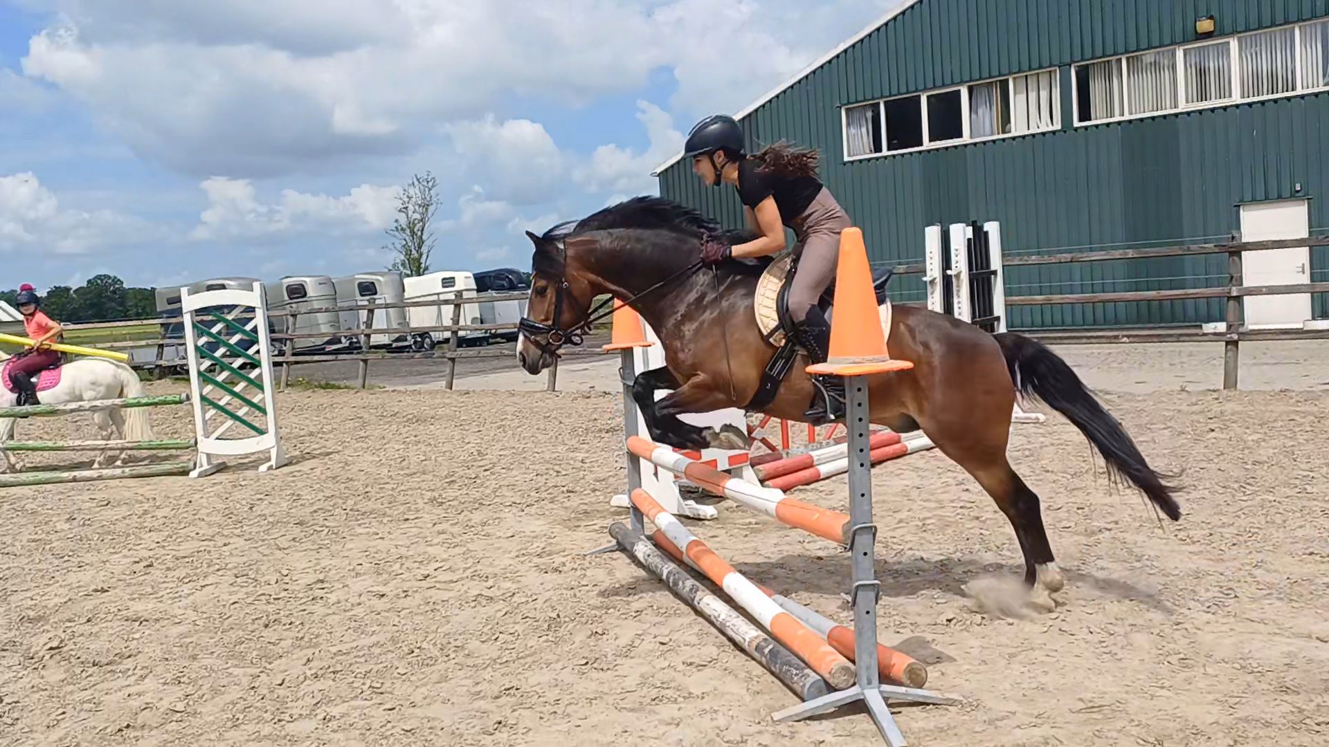 ander dressuurpony ruin 10 years old donkerbruin for sale - Photo 2