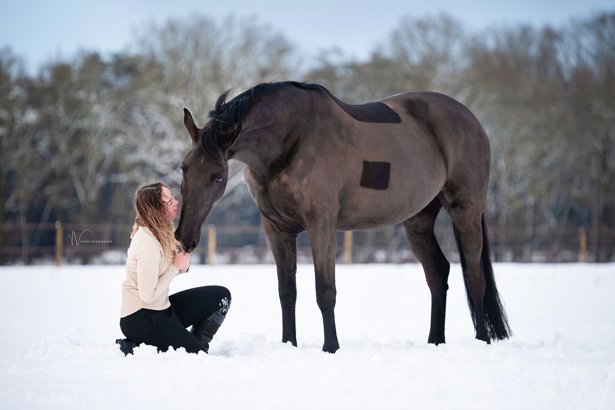 nrps springpaard merrie 8 años zwart en venta - Foto 2