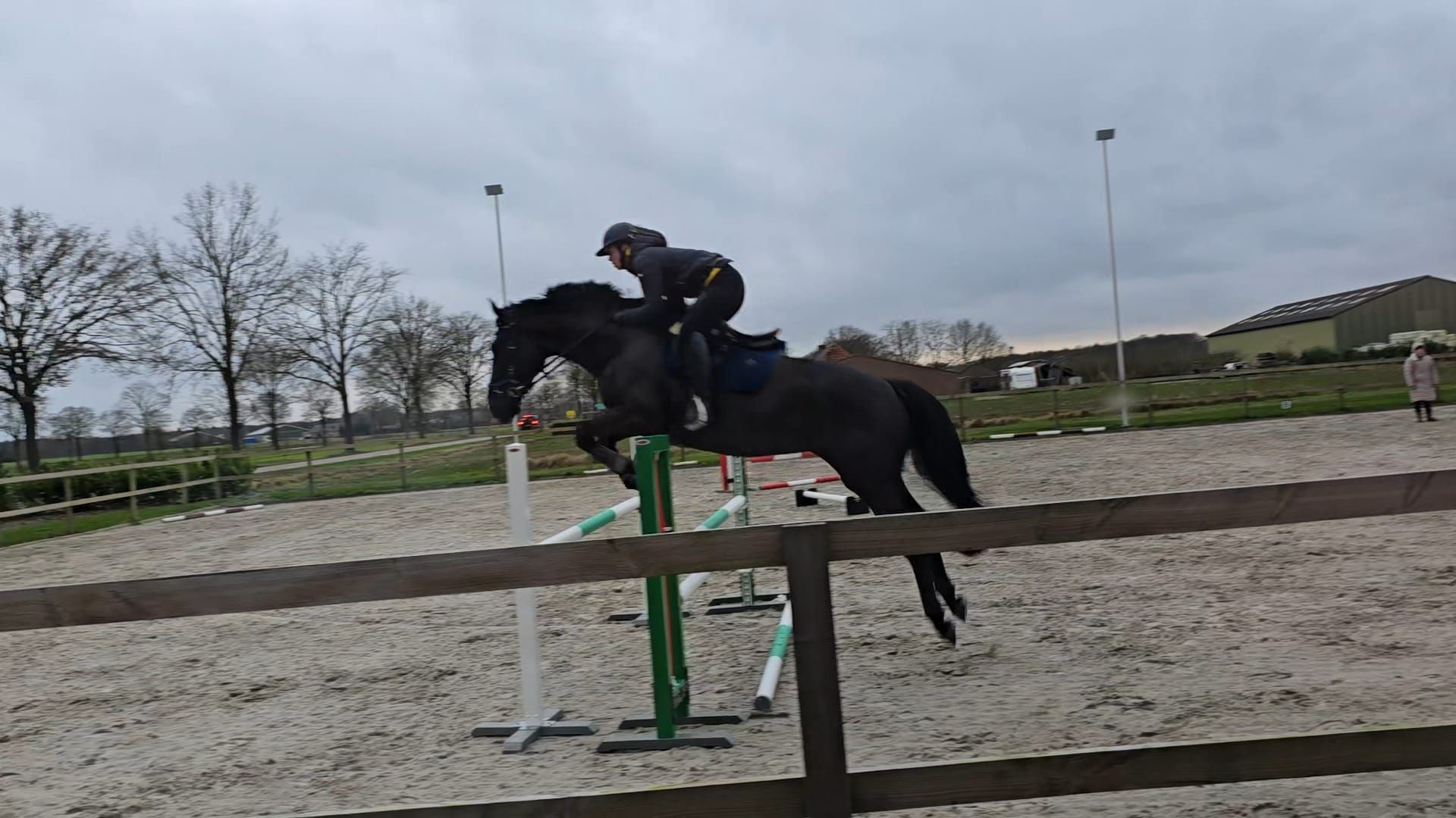 nrps springpaard merrie 8 años zwart en venta - Foto 3