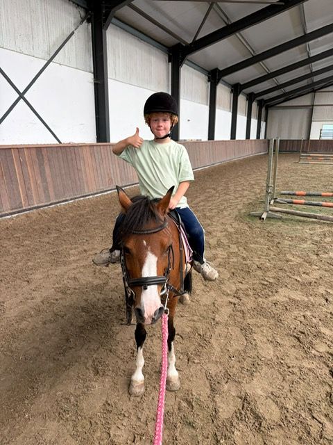 allround-pony merrie 16 let bruin na prodej - Foto 6