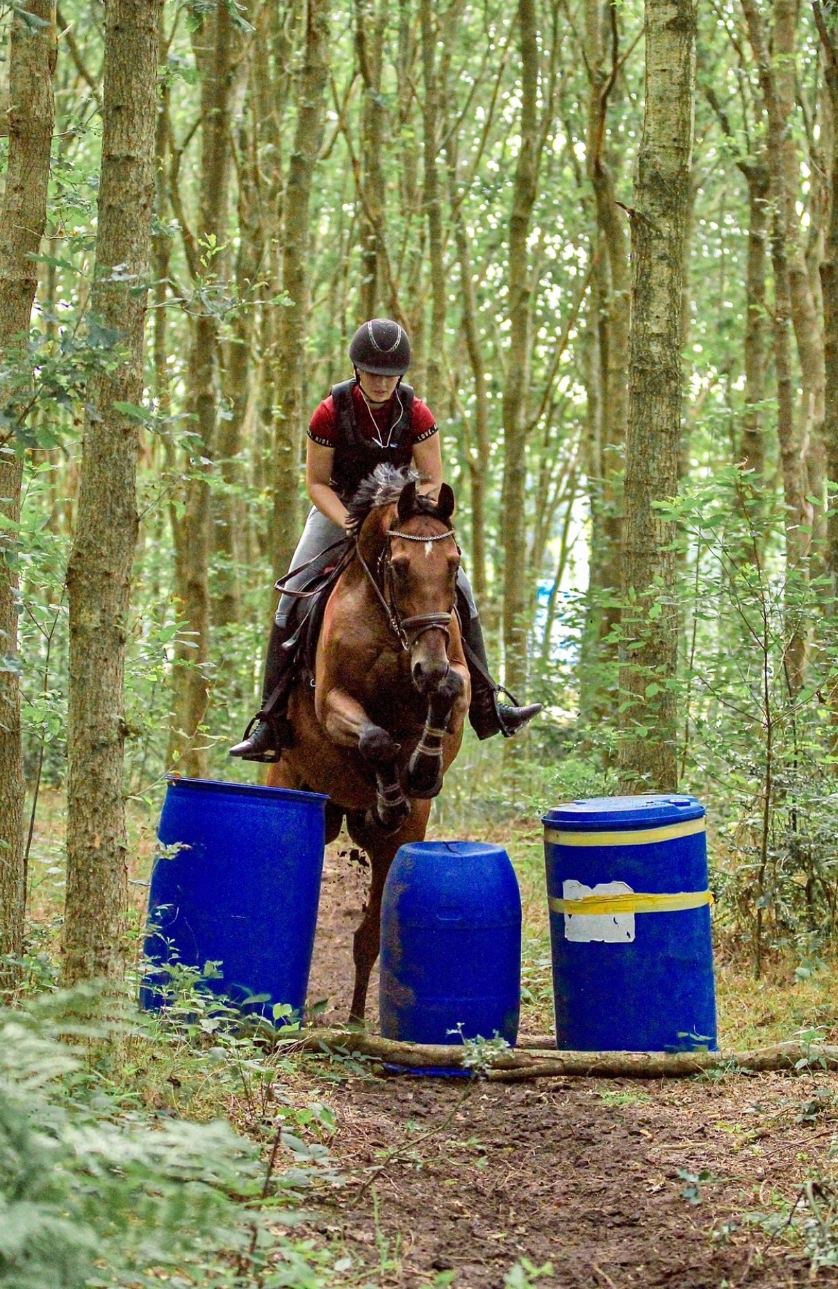 kwpn springpaard ruin 15 let bruin na prodej - Foto 5