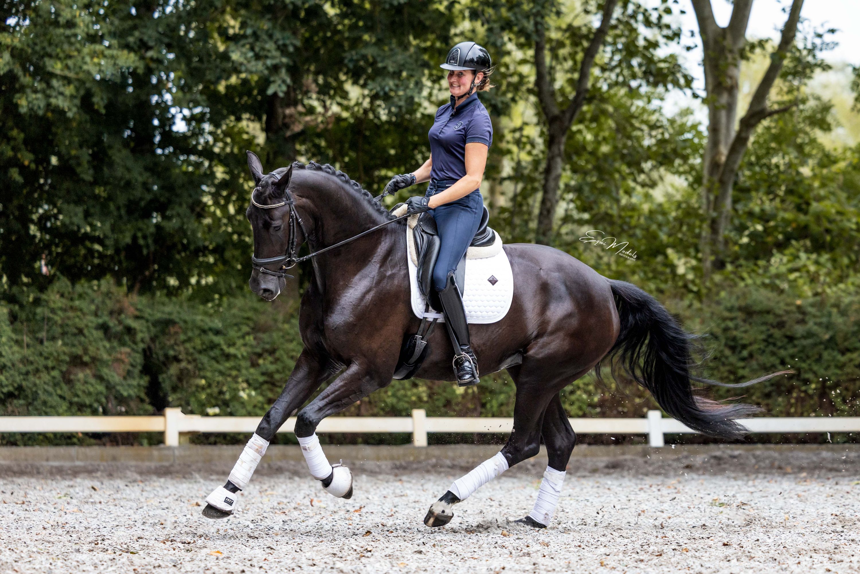 kwpn dressuurpaard merrie 4 años zwart en venta - Foto 2