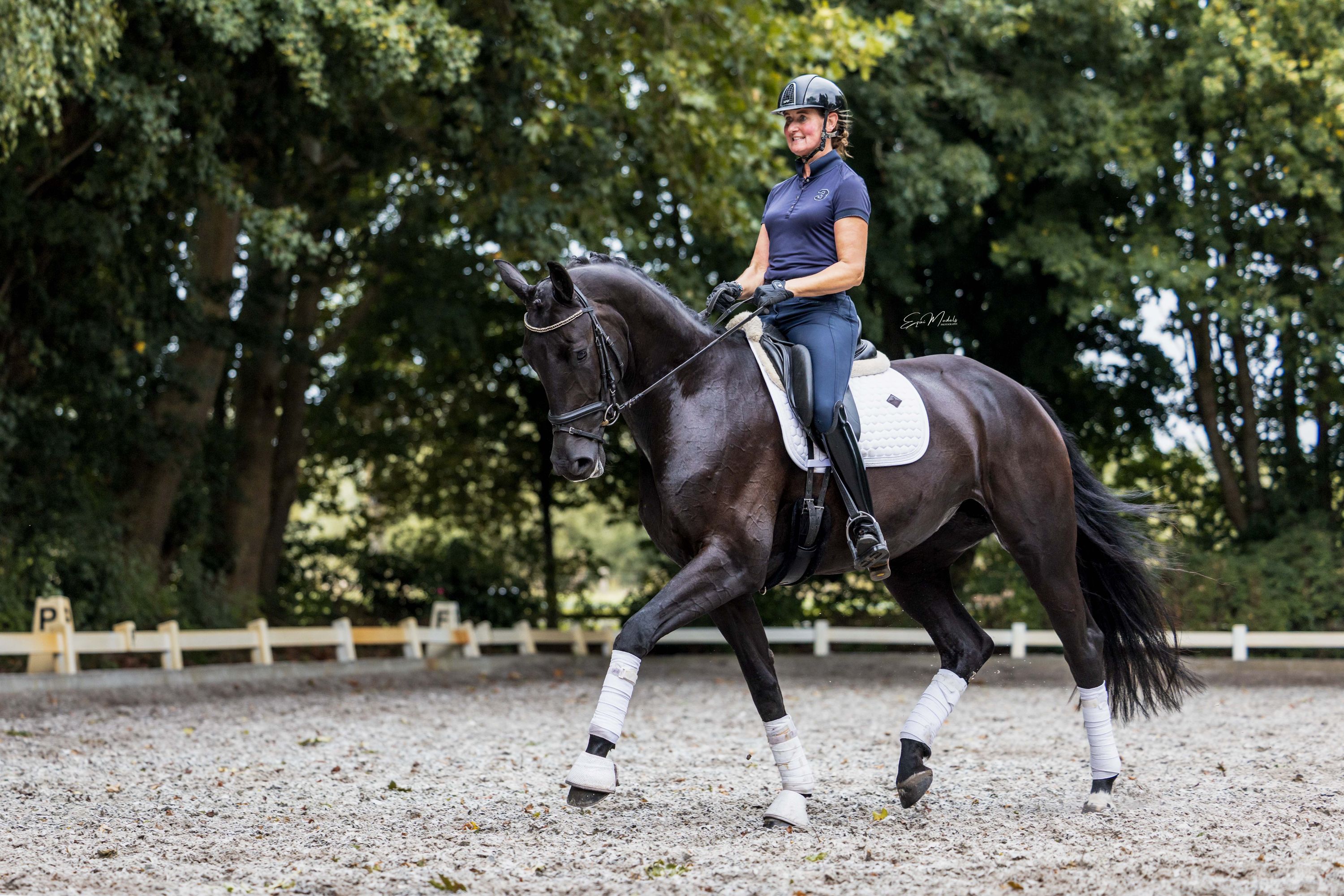 Beautiful talented mare