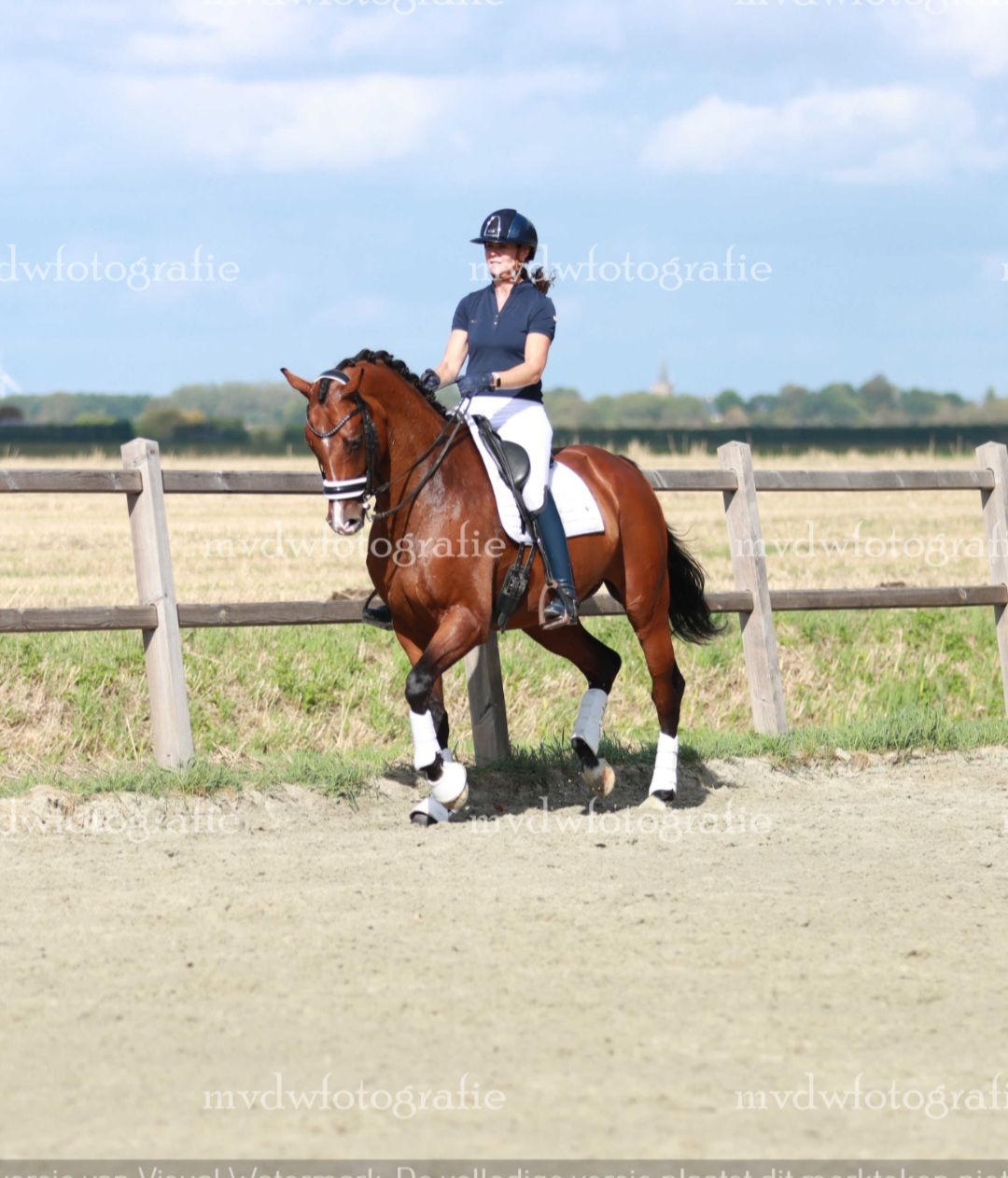kwpn dressuurpaard ruin 7 años kastanje en venta - Foto 2