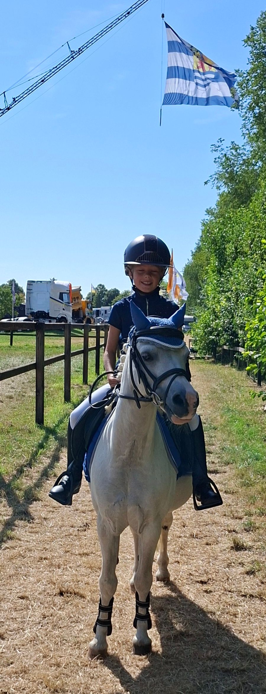 pony 11 años schimmel en venta - Foto 3