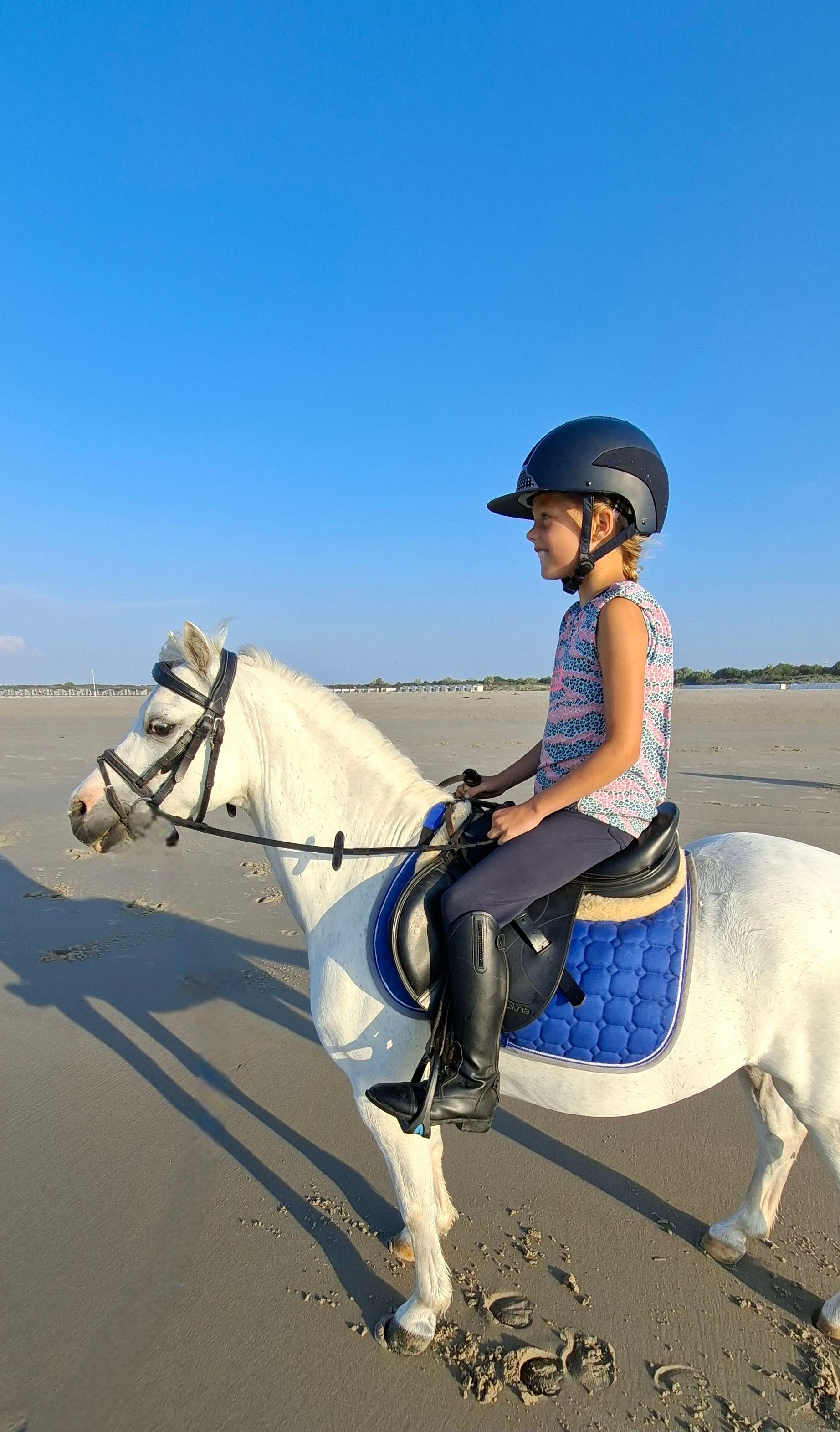 pony 11 años schimmel en venta - Foto 6