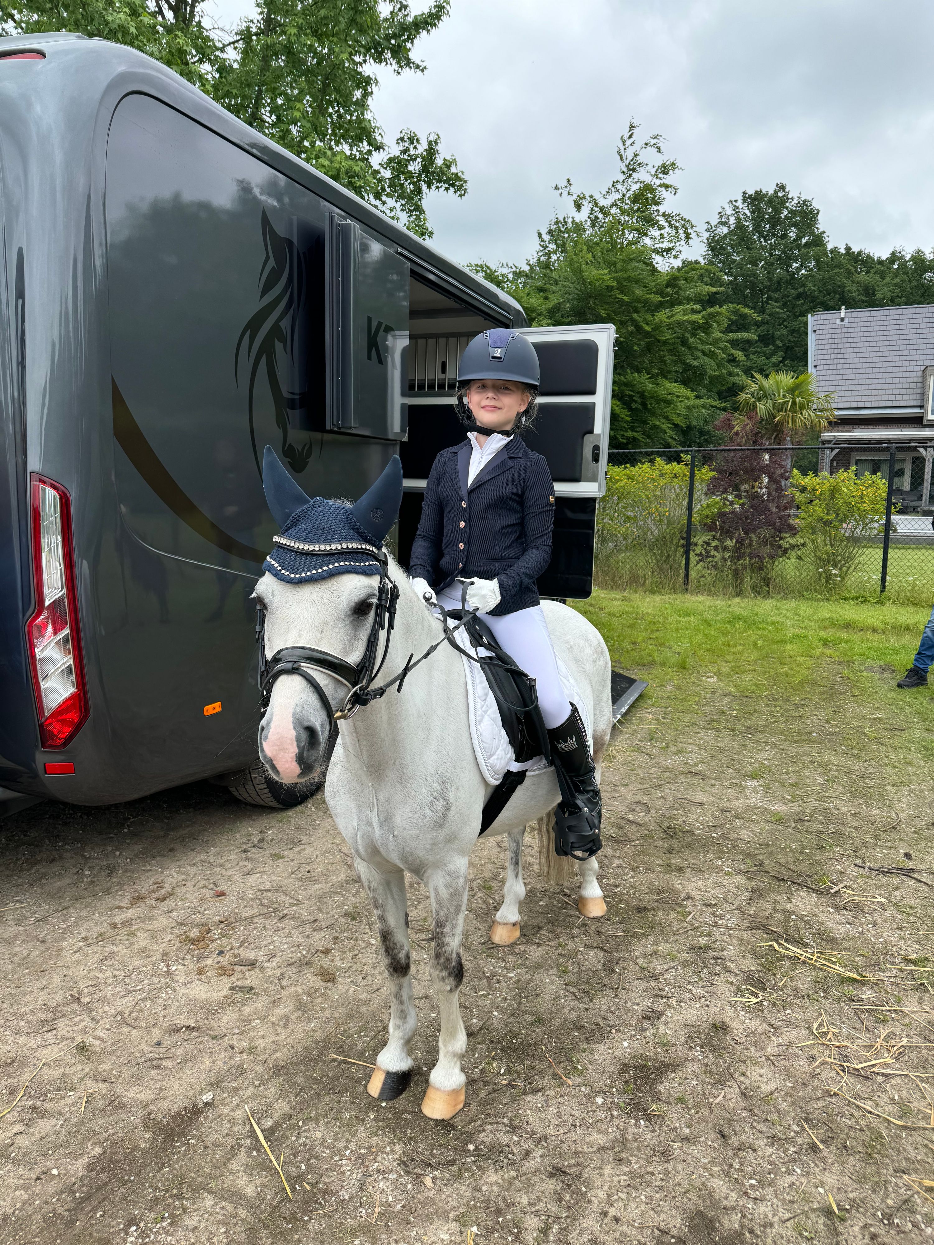 allround-pony ruin 13 years old schimmel for sale - Photo 3