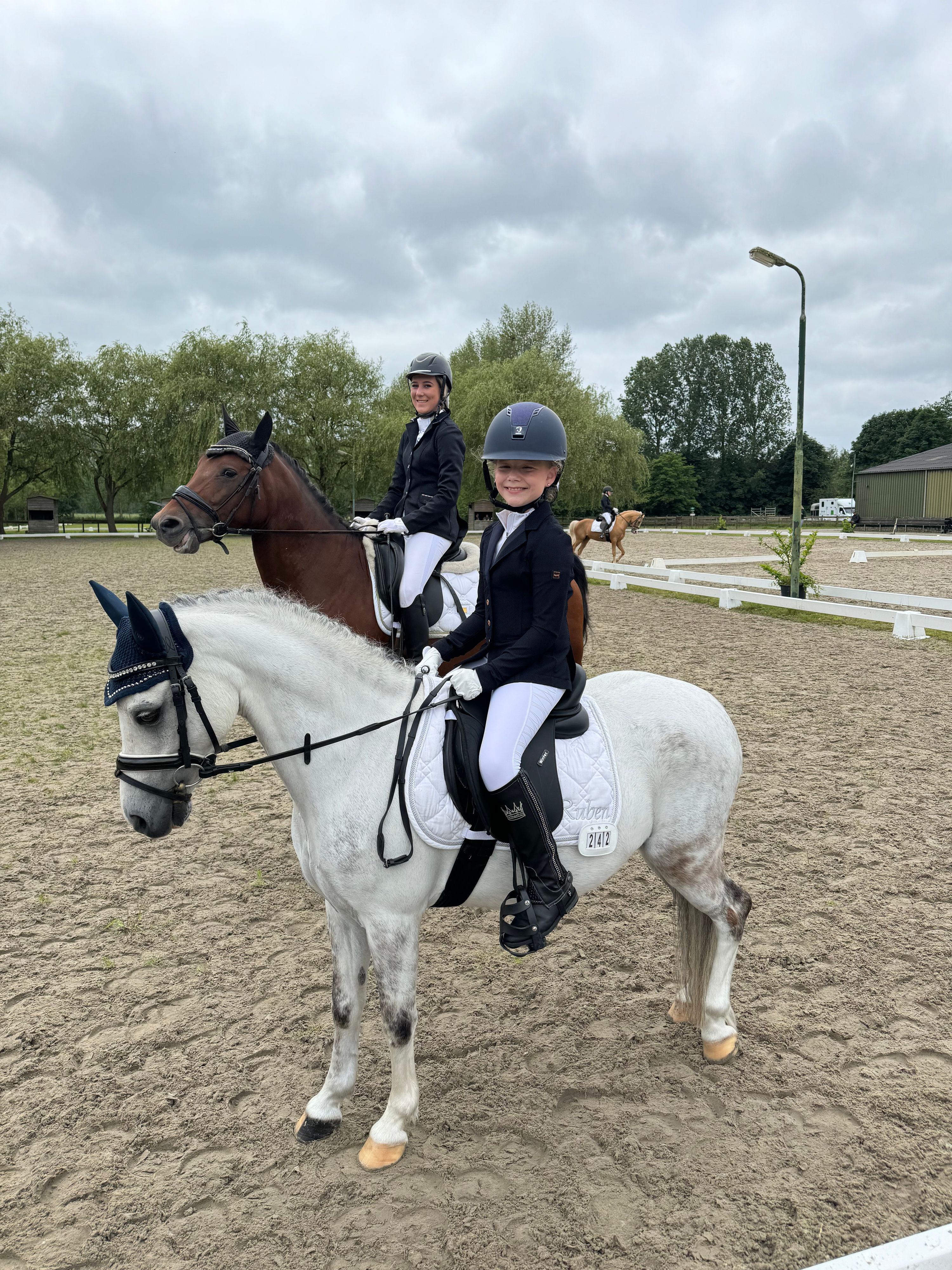 allround-pony ruin 13 years old schimmel for sale - Photo 2