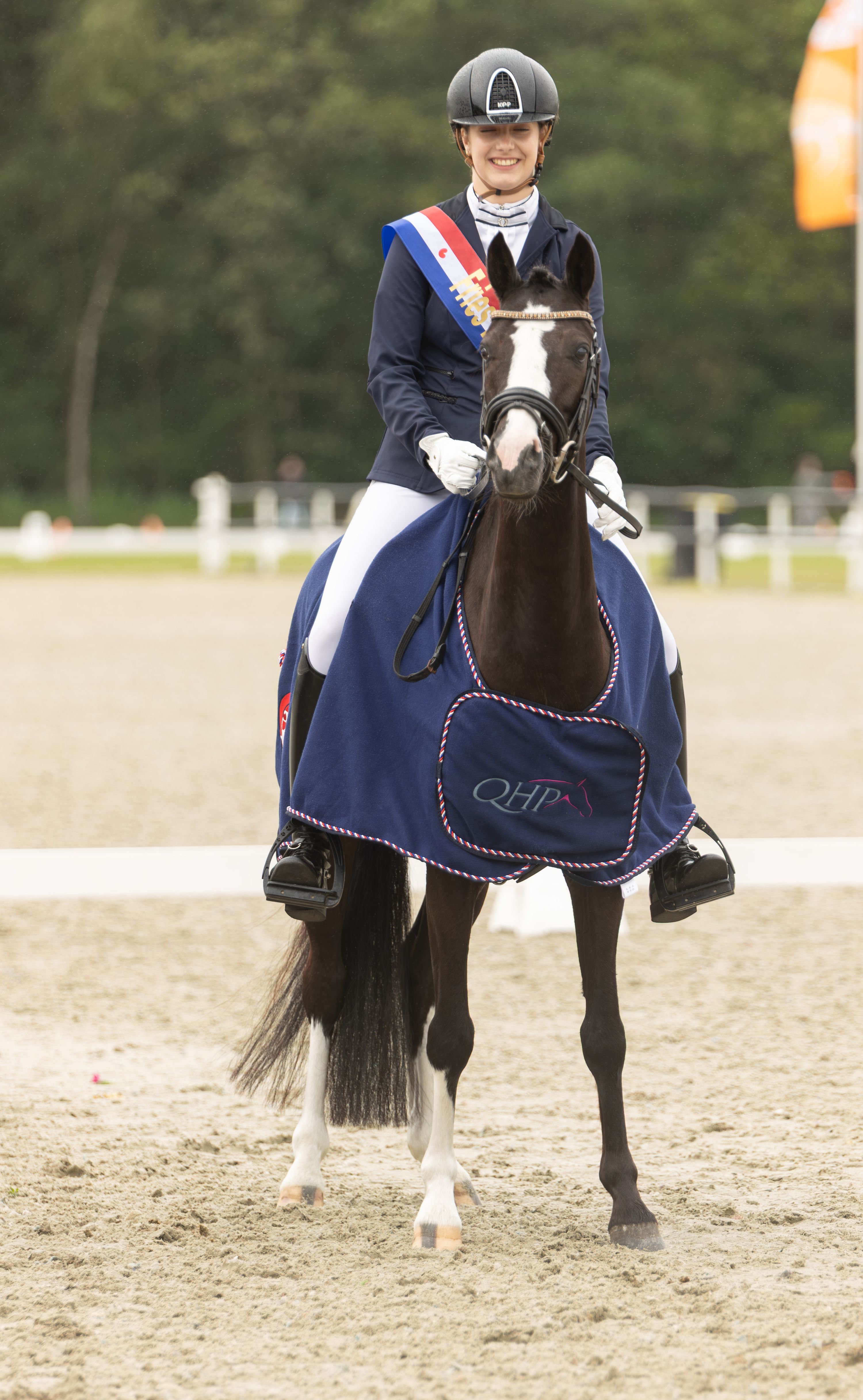 welsh dressuurpony ruin 5 Jahre alt donkerbruin zu verkaufen - Foto 4