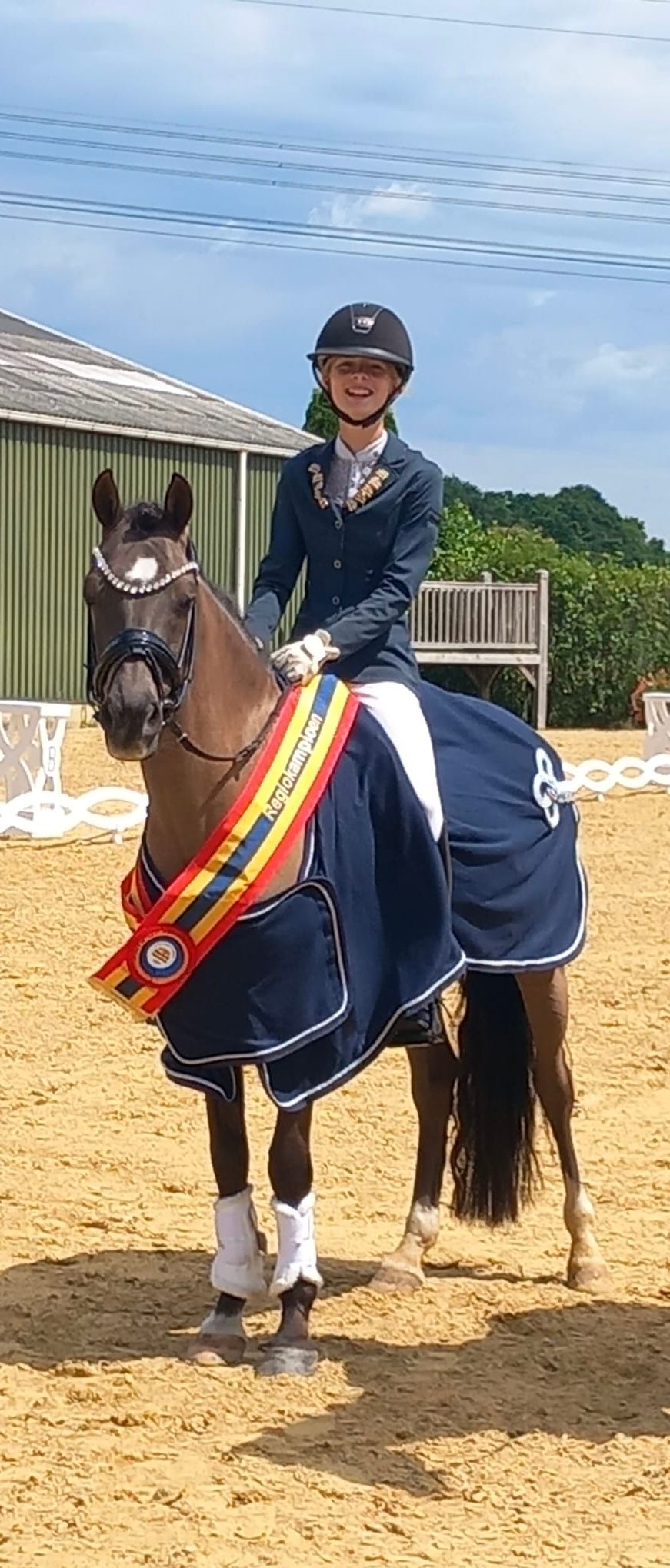 duitse-rijpony dressuurpony ruin 11 anos zwart à venda - Foto 5